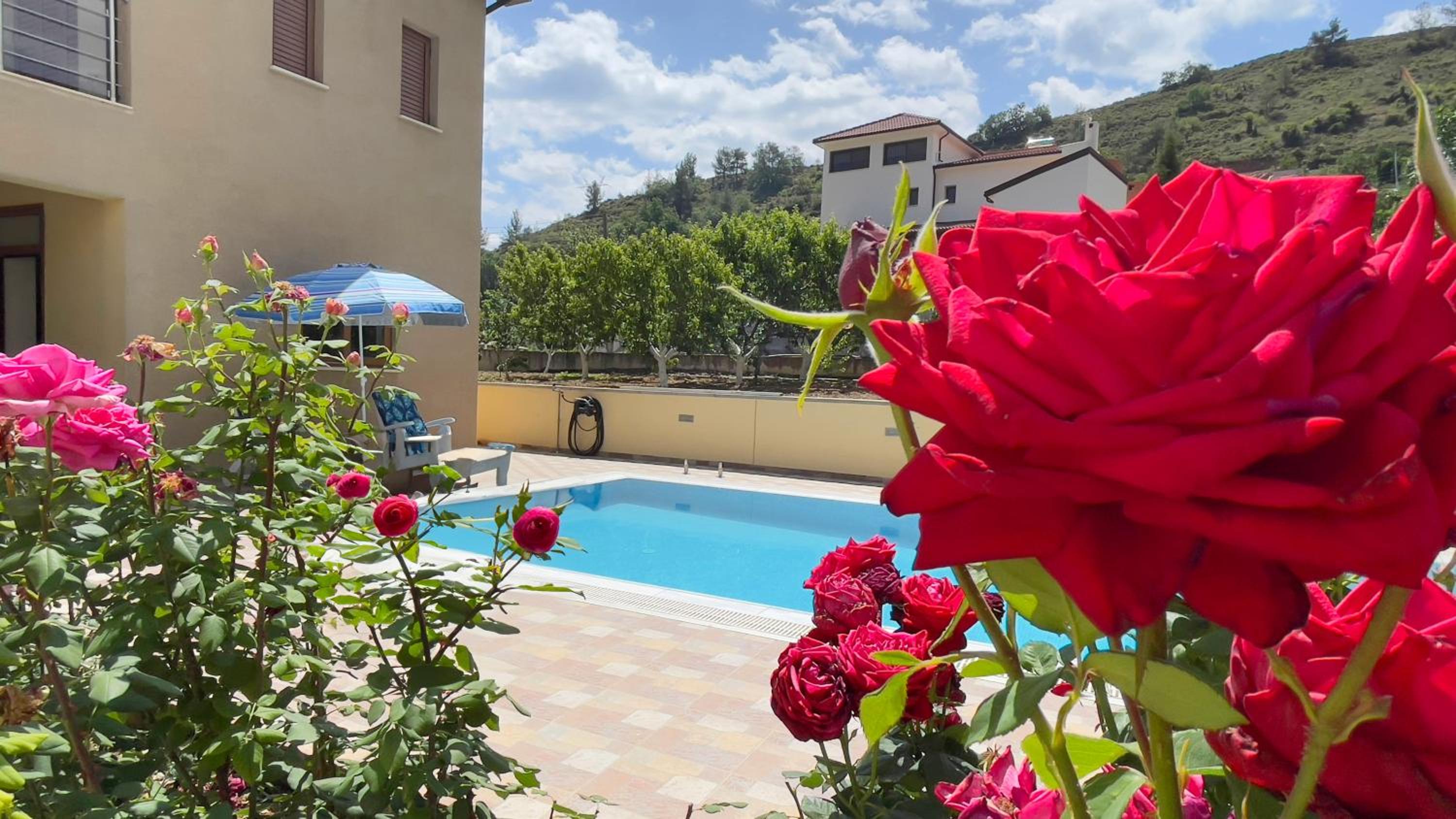 Villa with Private Pool photo 3
