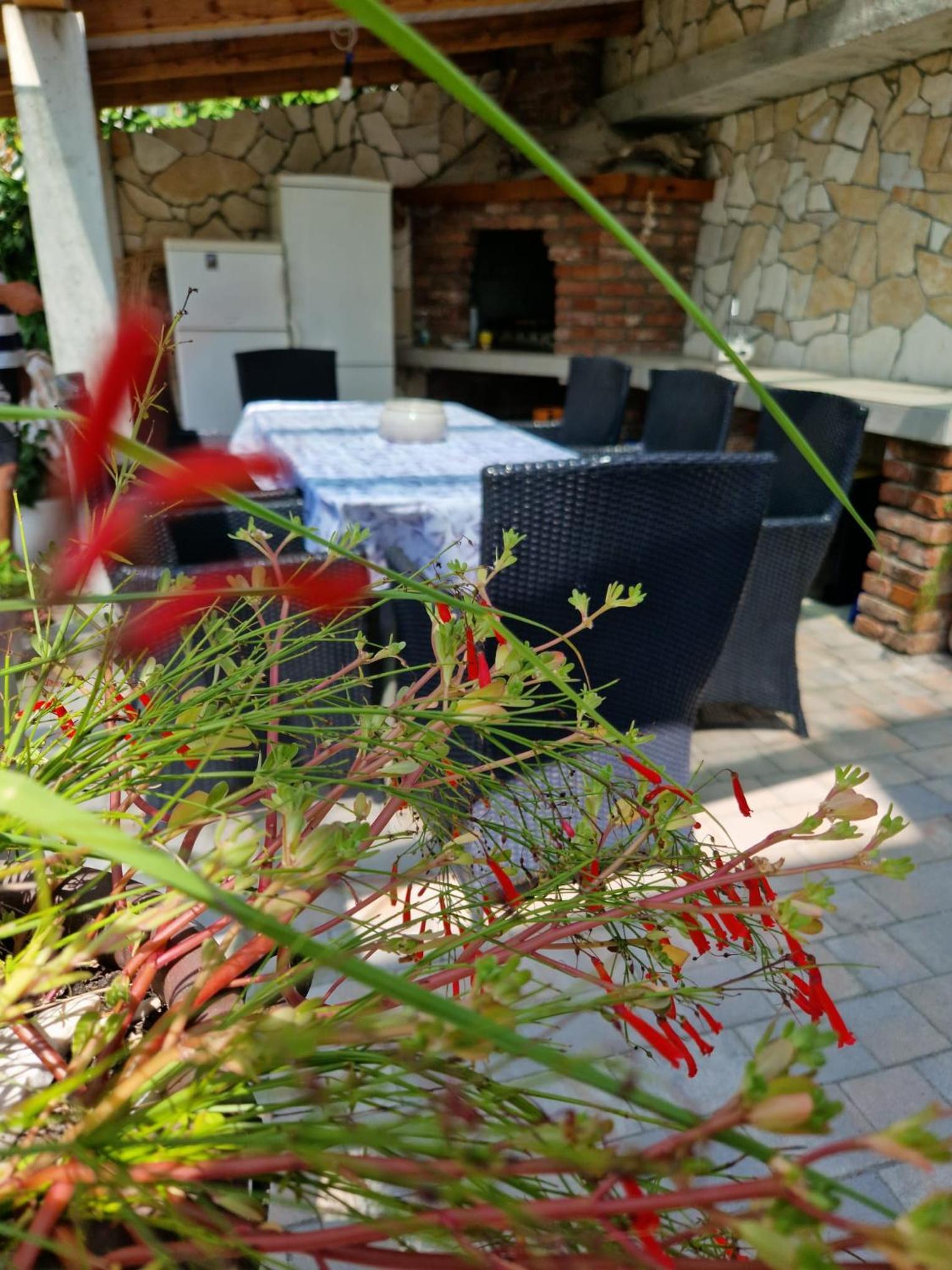 Apartment with Terrace photo 1