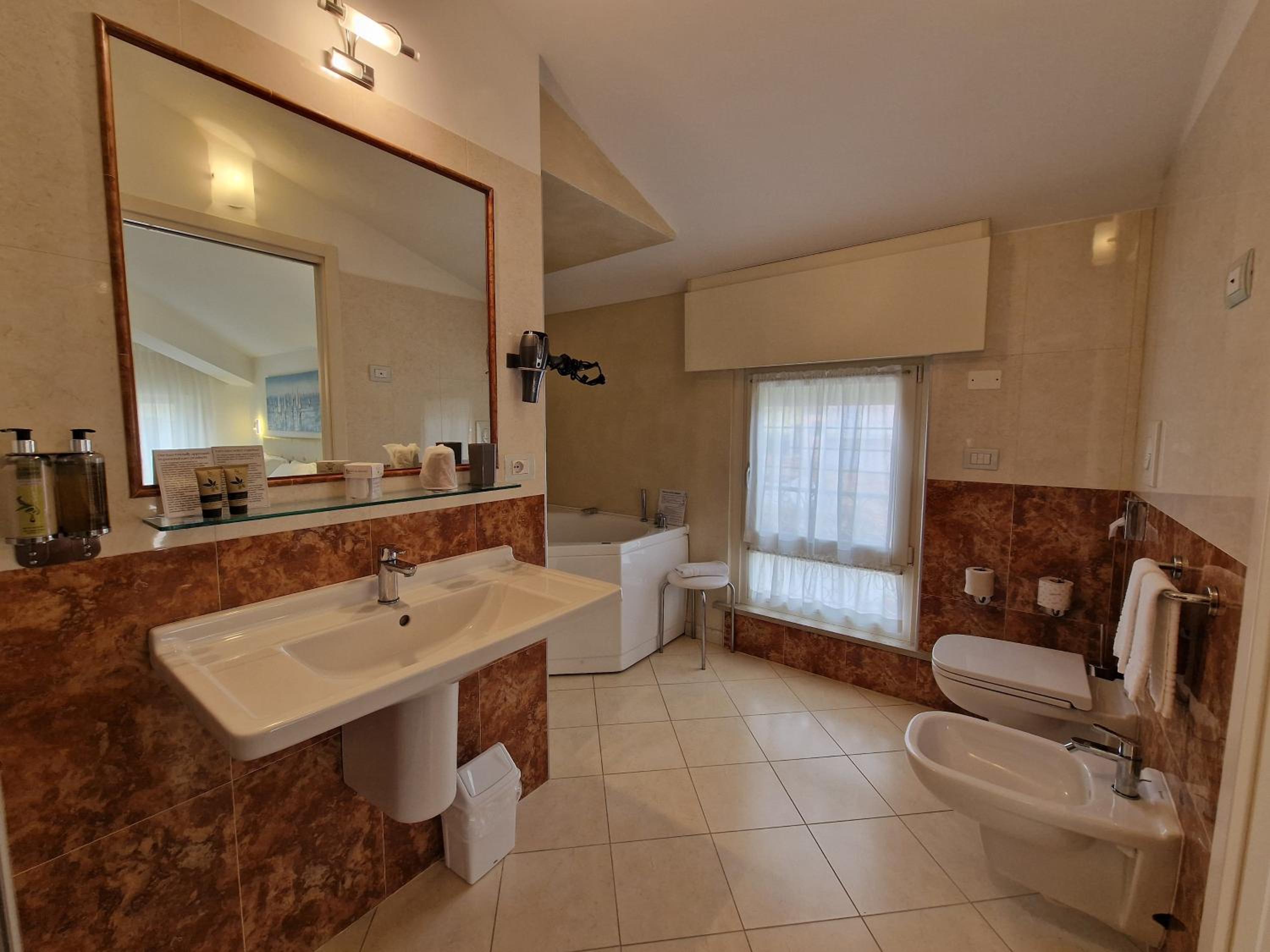 Superior Double or Twin Room photo 3