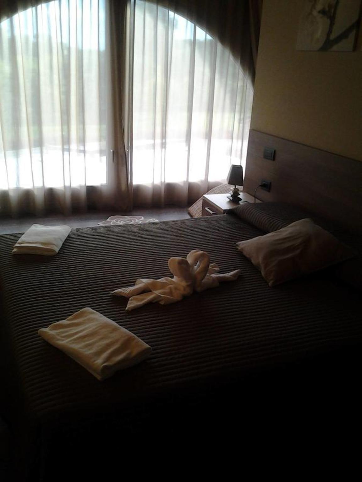 Deluxe Room photo 3