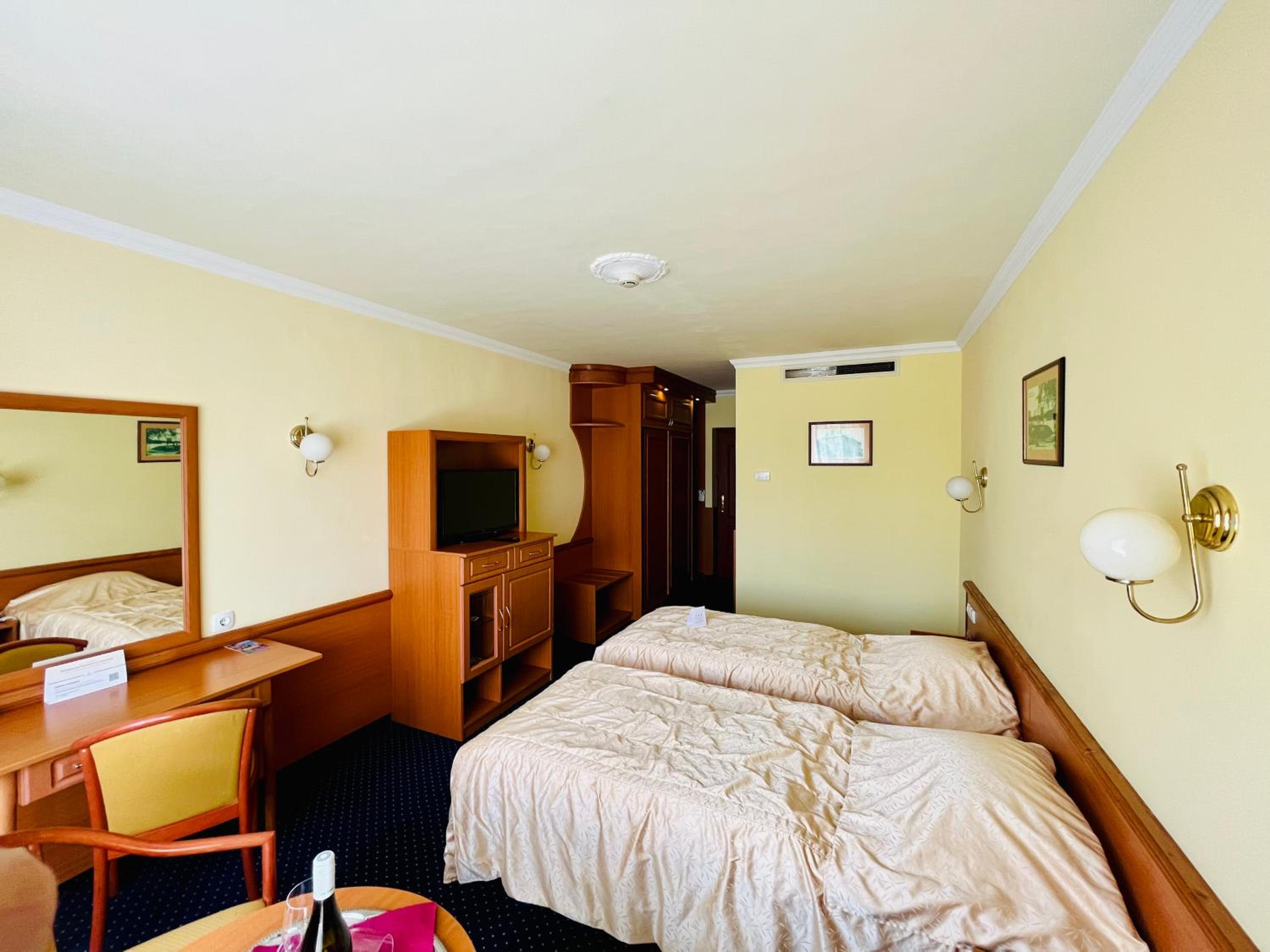 Superior Double or Twin Room with City View