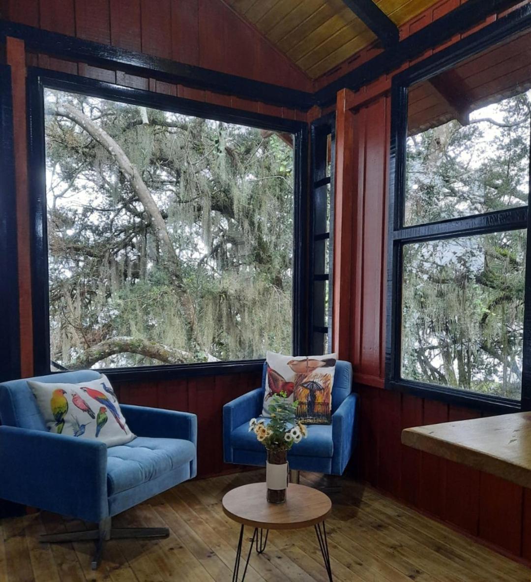 Double Room With Balcony photo 3