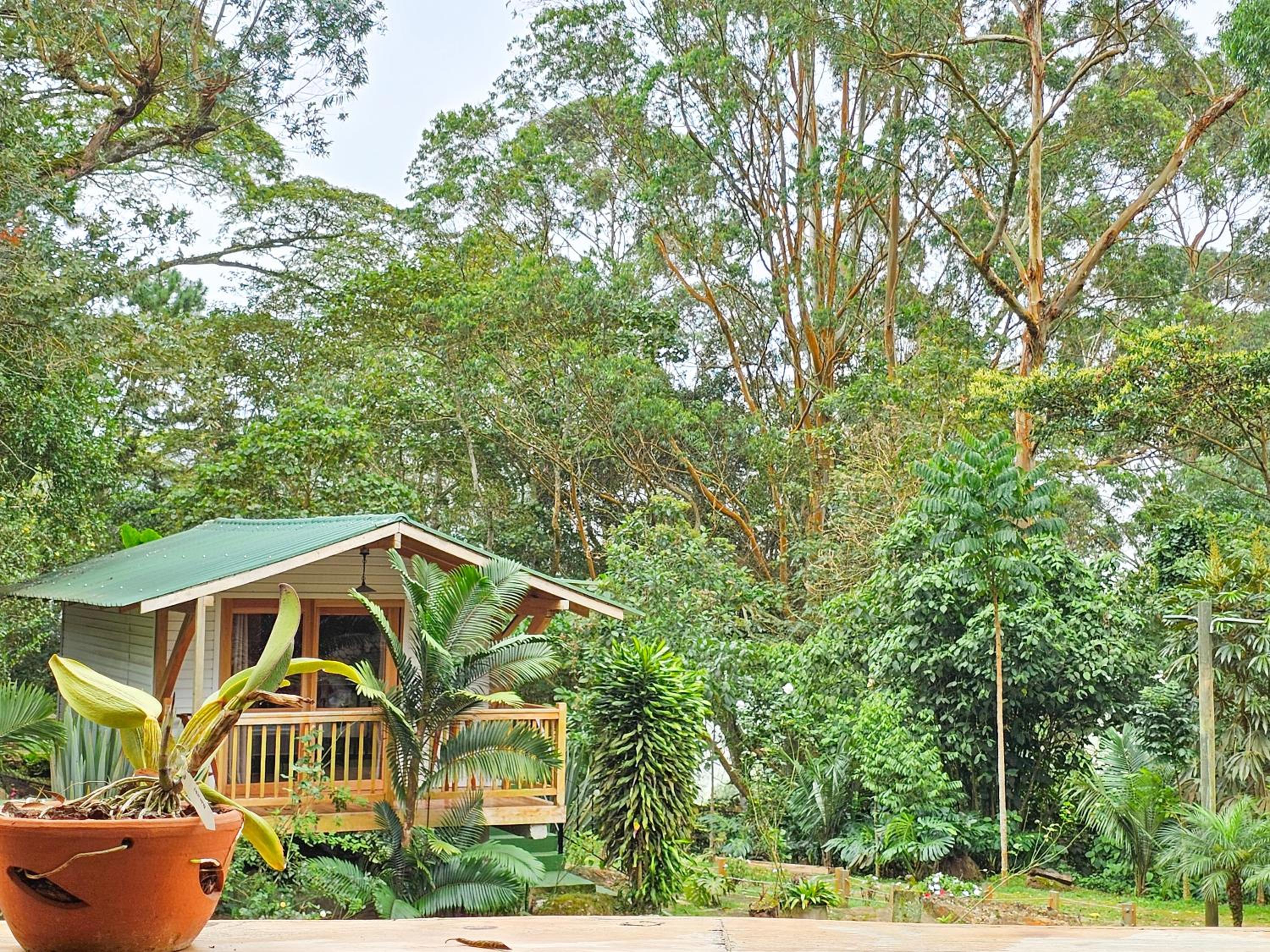 Family Bungalow photo 2