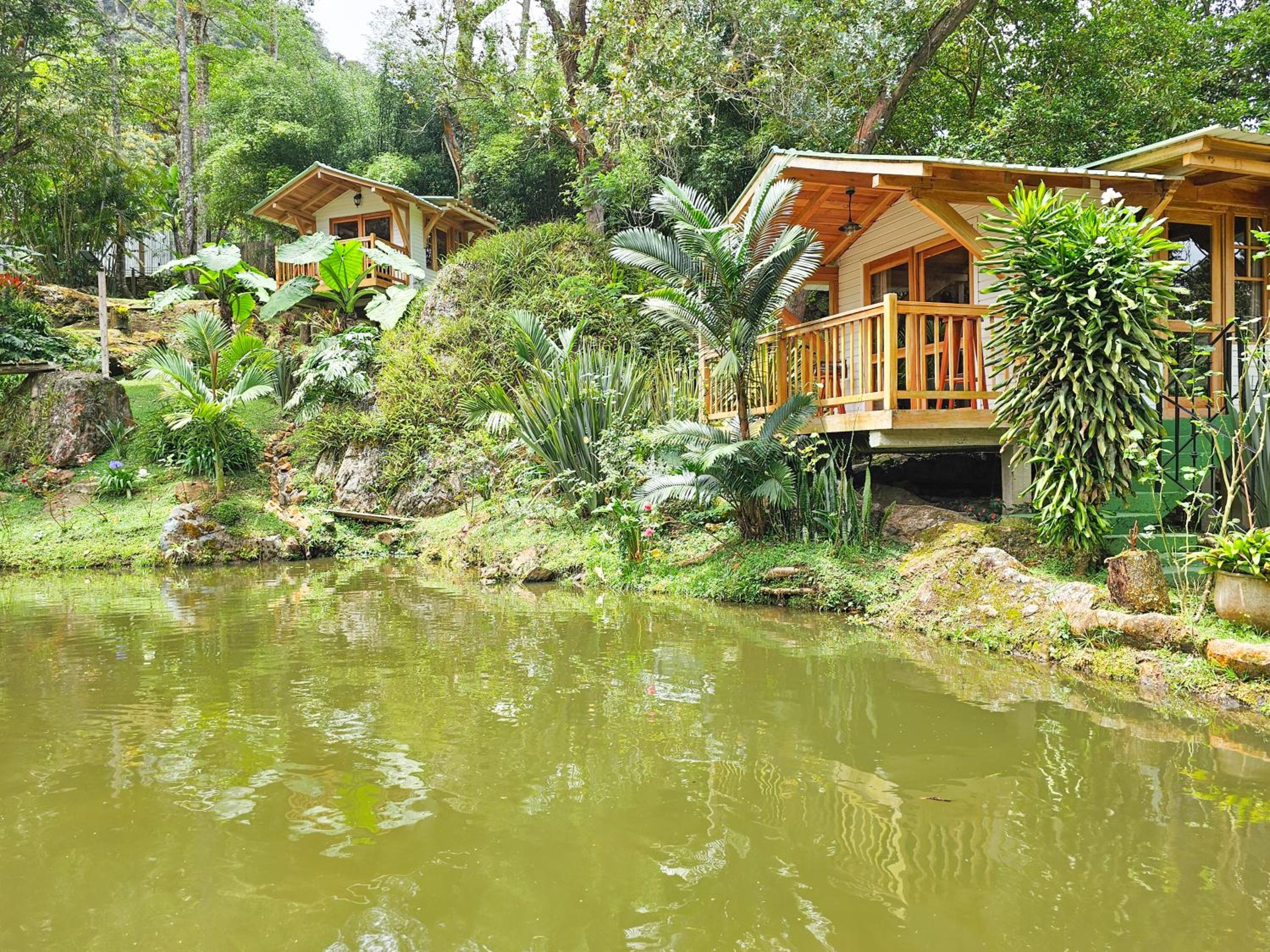 Family Bungalow photo 3