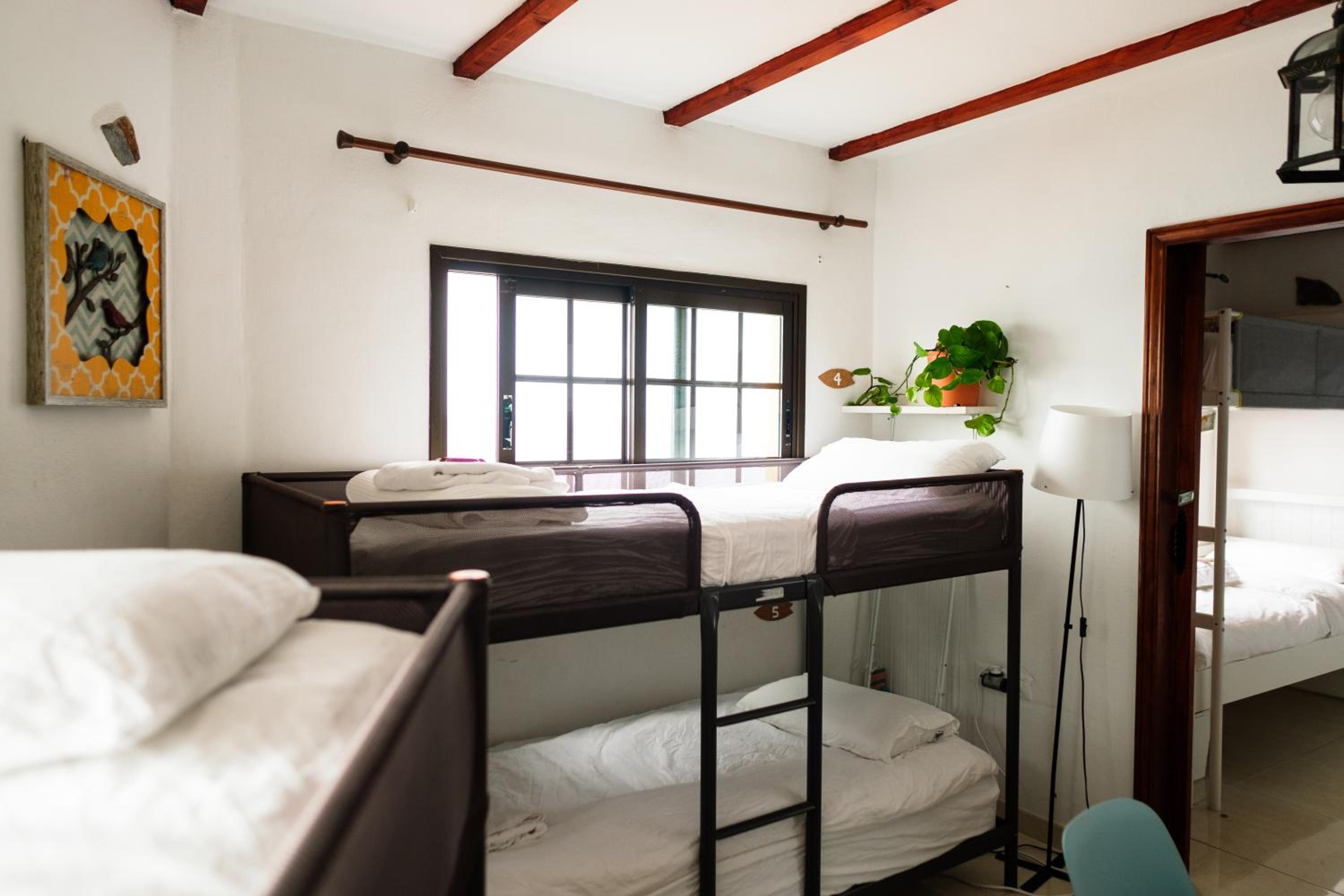 Single Bed in Female Dormitory Room thumbnail 6