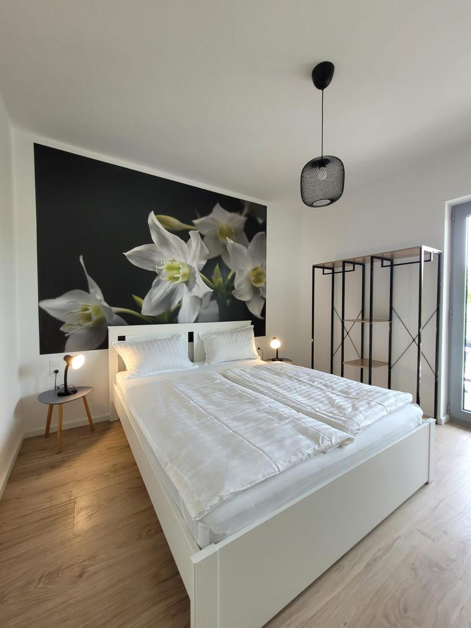 Apartment with Terrace photo 2
