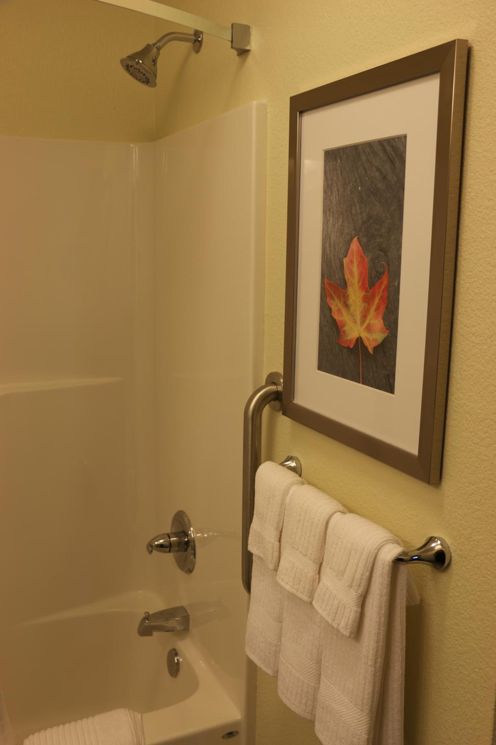King Studio Suite photo 2