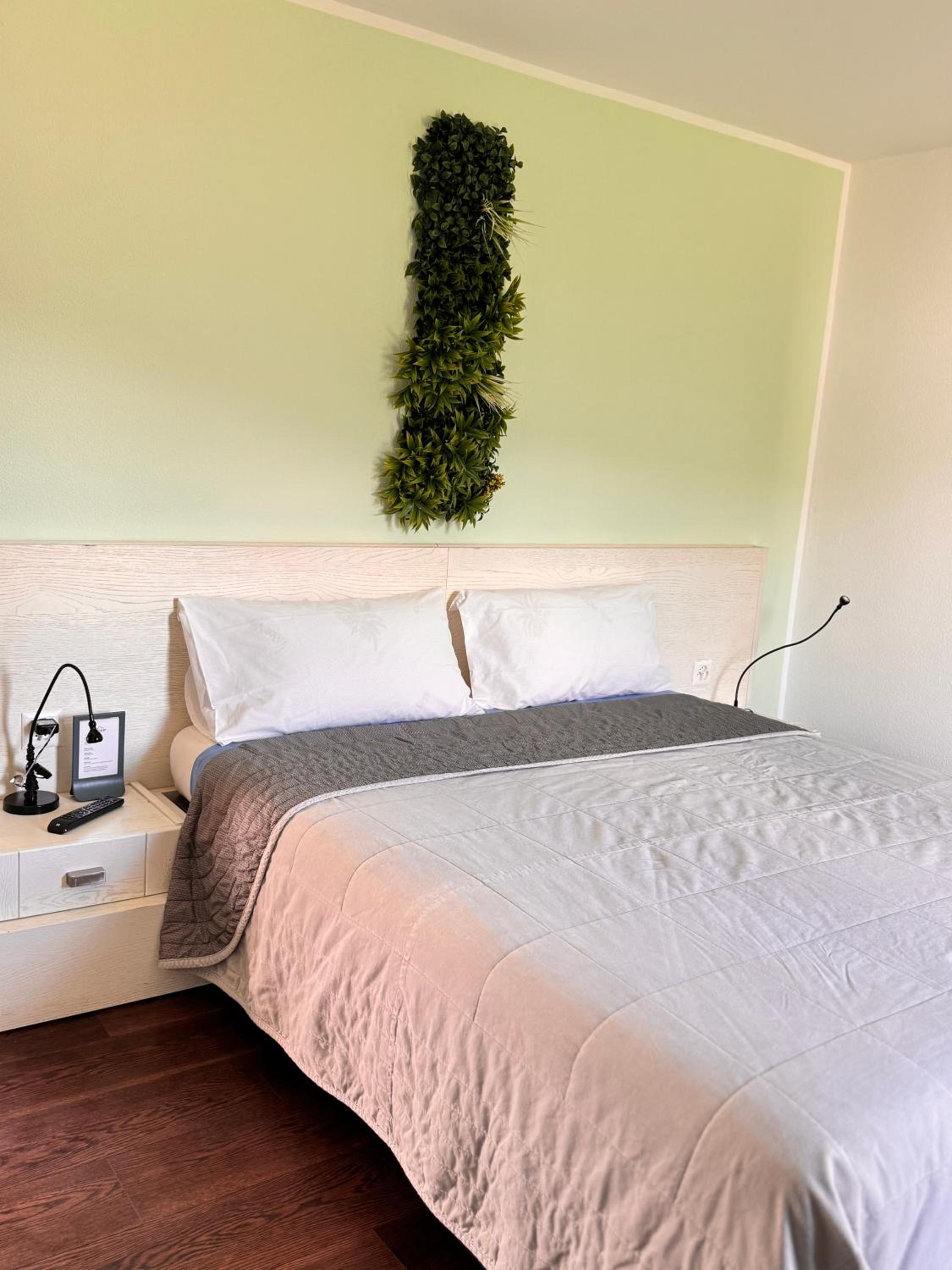 Standard Double Room photo 1