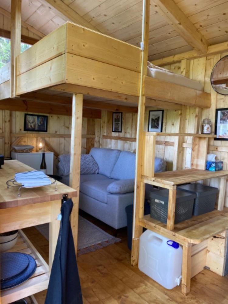 Tent with External Bathroom  photo 1