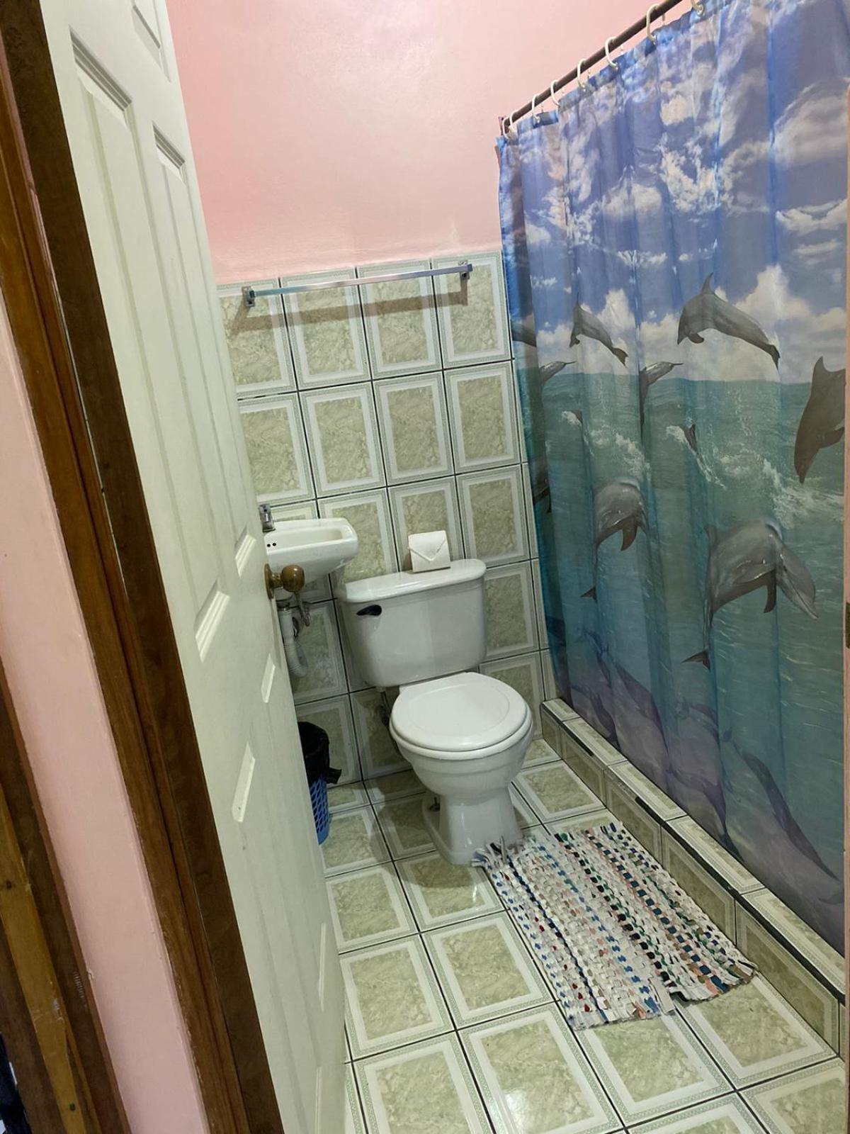 Twin Room photo 3