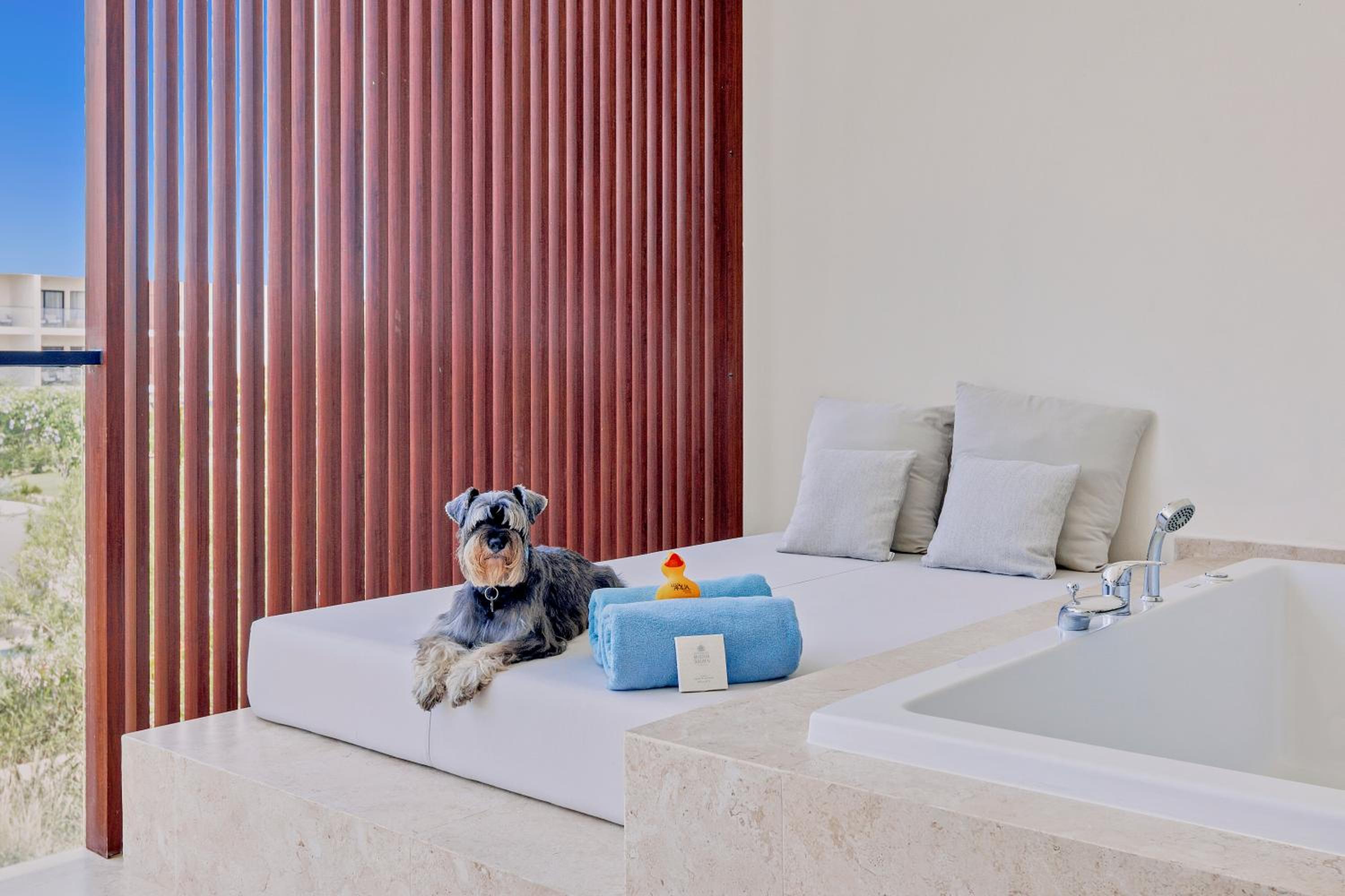 Junior Suite Pool View, 2 Double