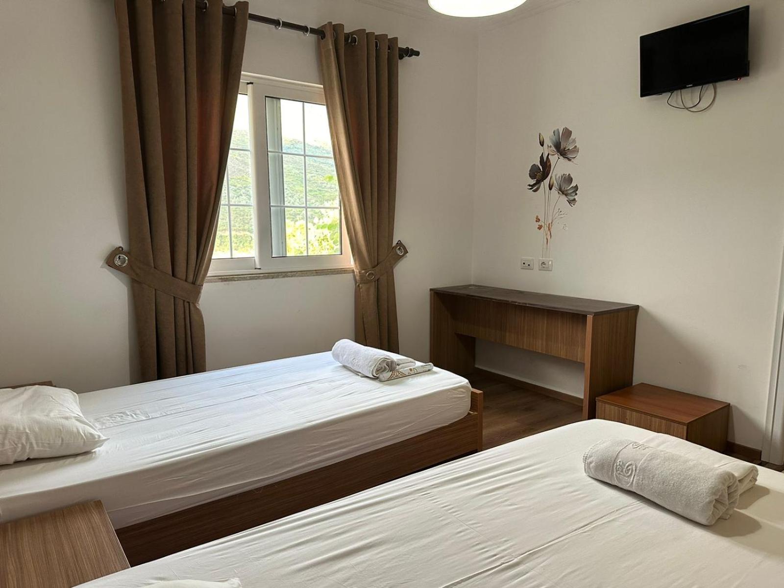 Twin Room photo 2