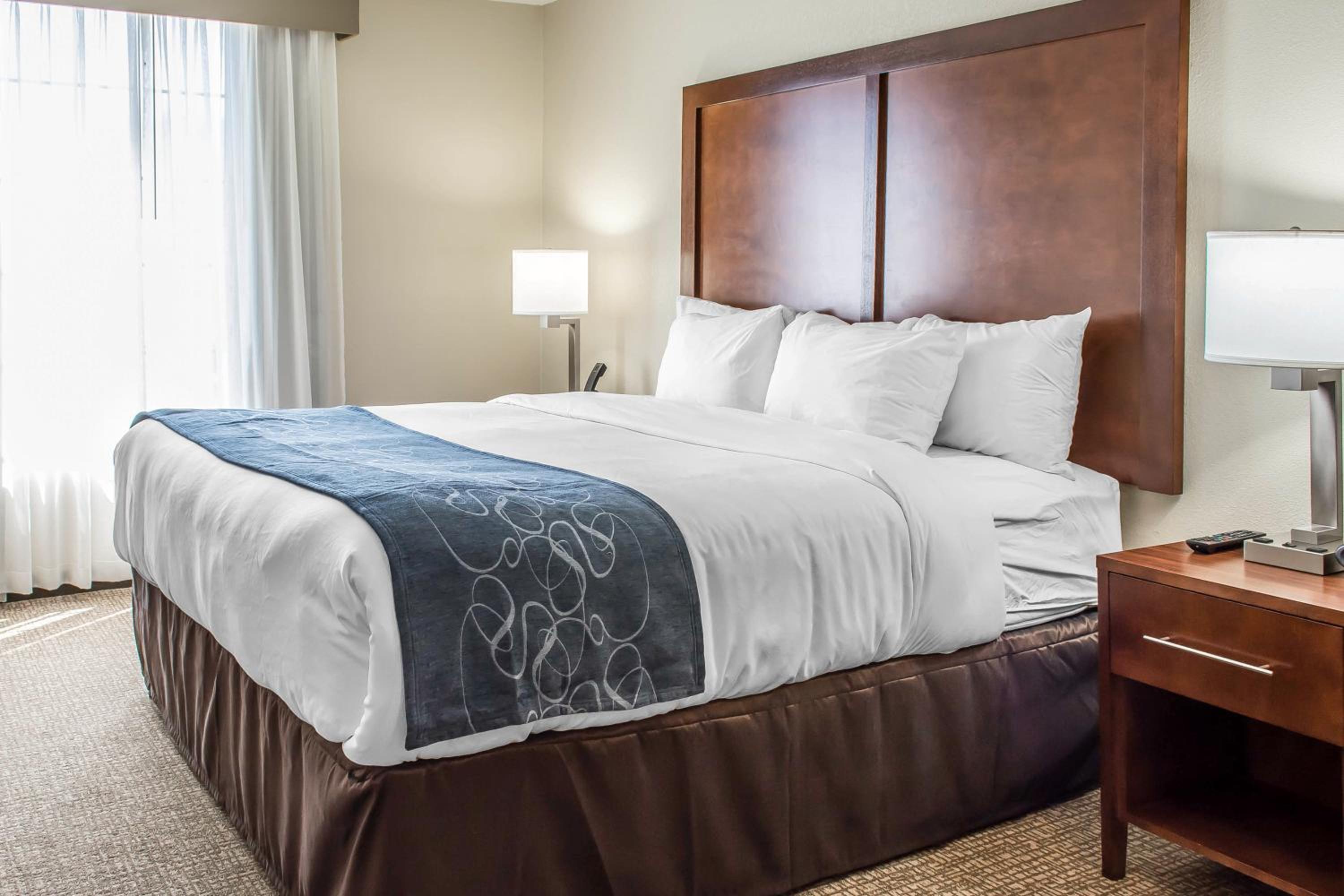 Comfort Suites Near Potomac Mills, Foto 8