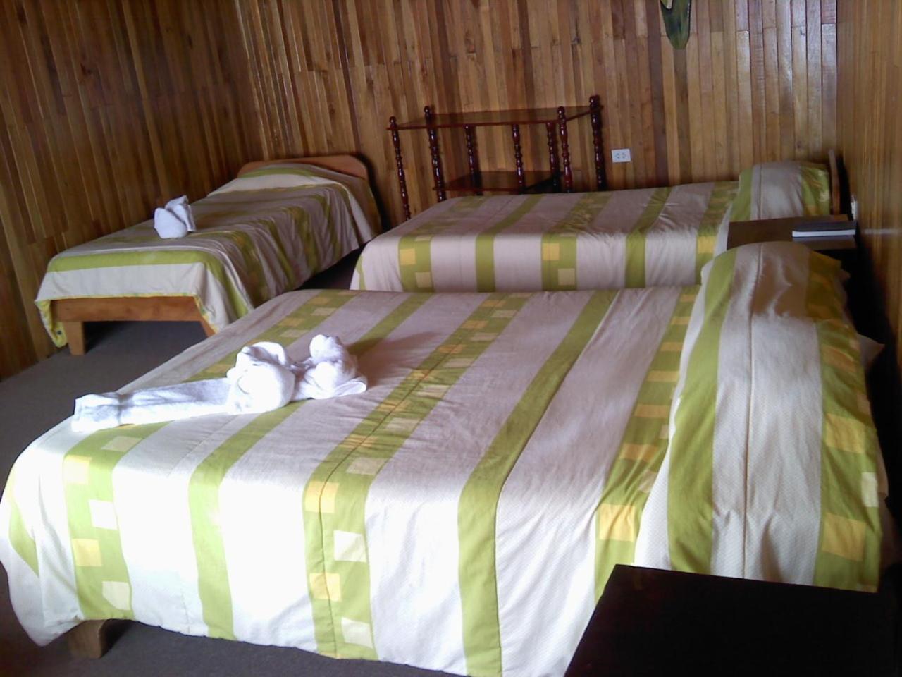 Triple Room photo 3