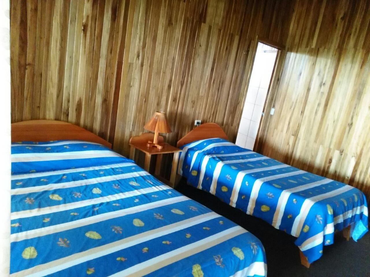 Twin Room photo 1