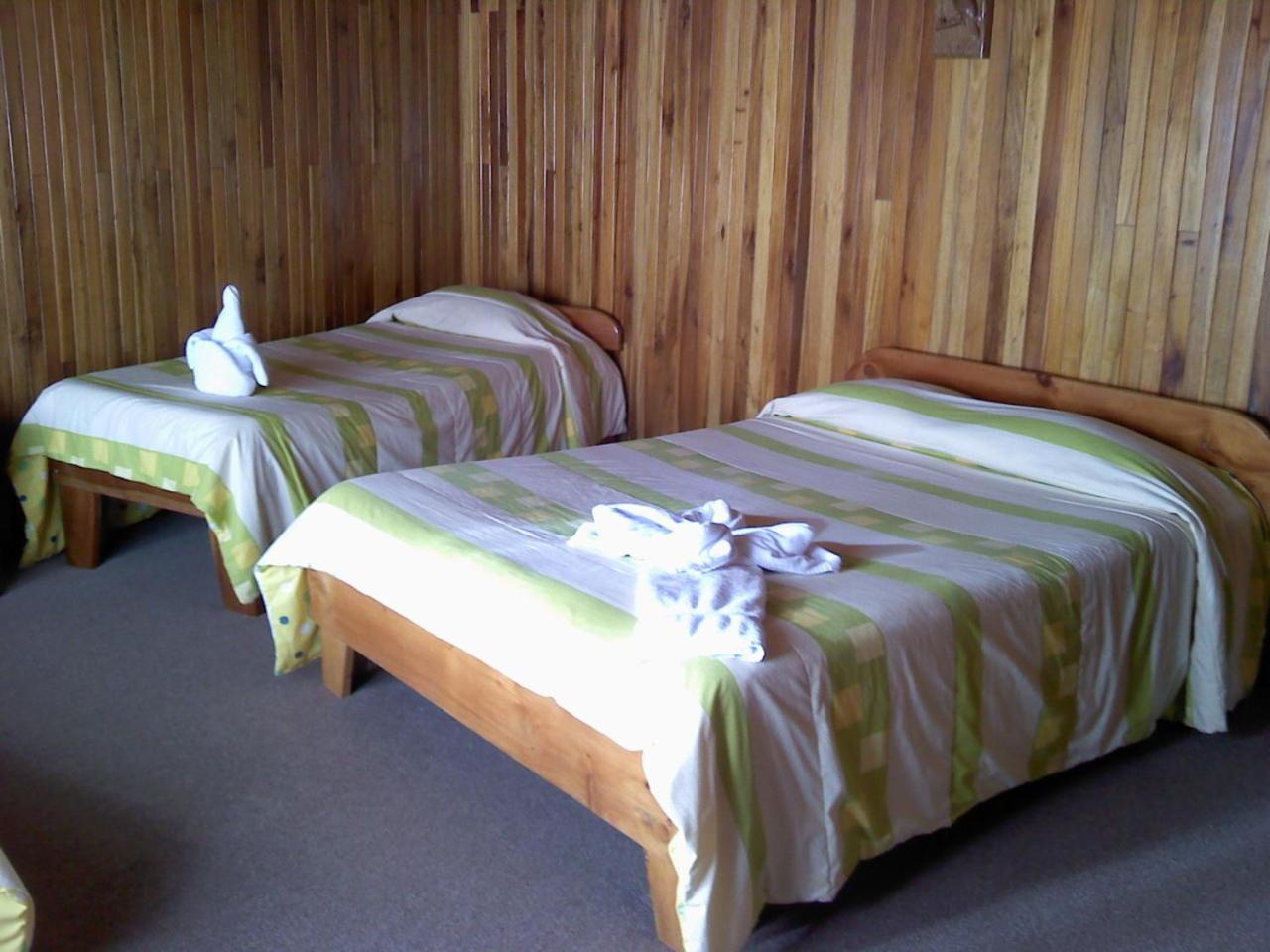 Twin Room photo 2