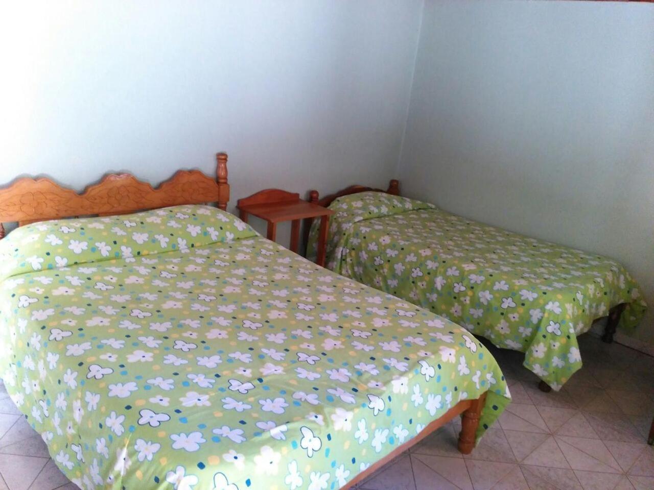 Twin Room photo 3