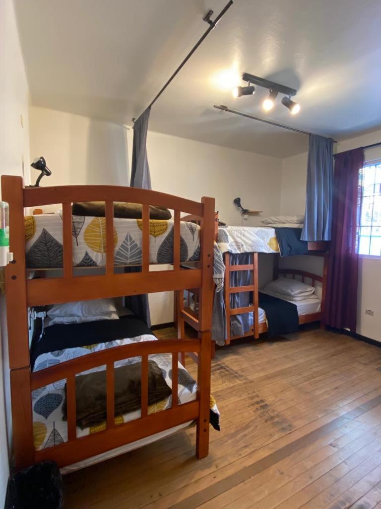 Bed in 4-Bed Mixed Dormitory Room photo 1