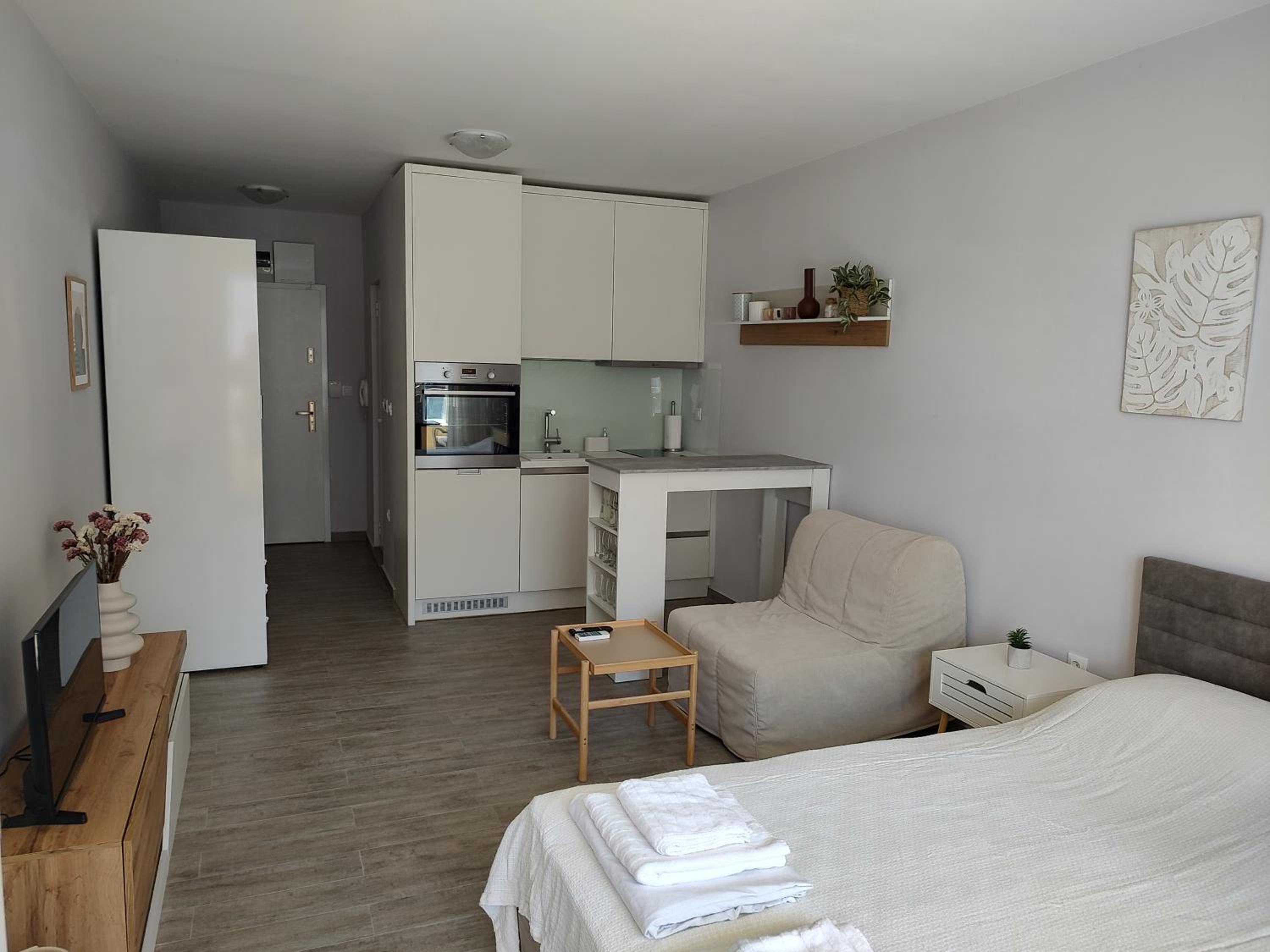 One-Bedroom Apartment photo 2