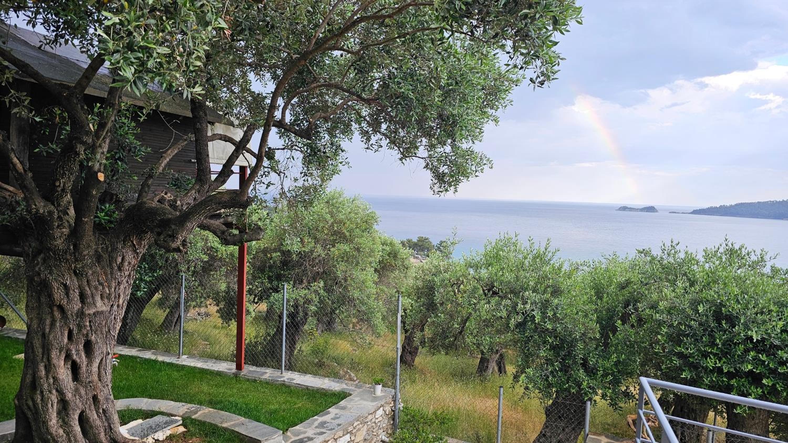 Vacation Home photo 3