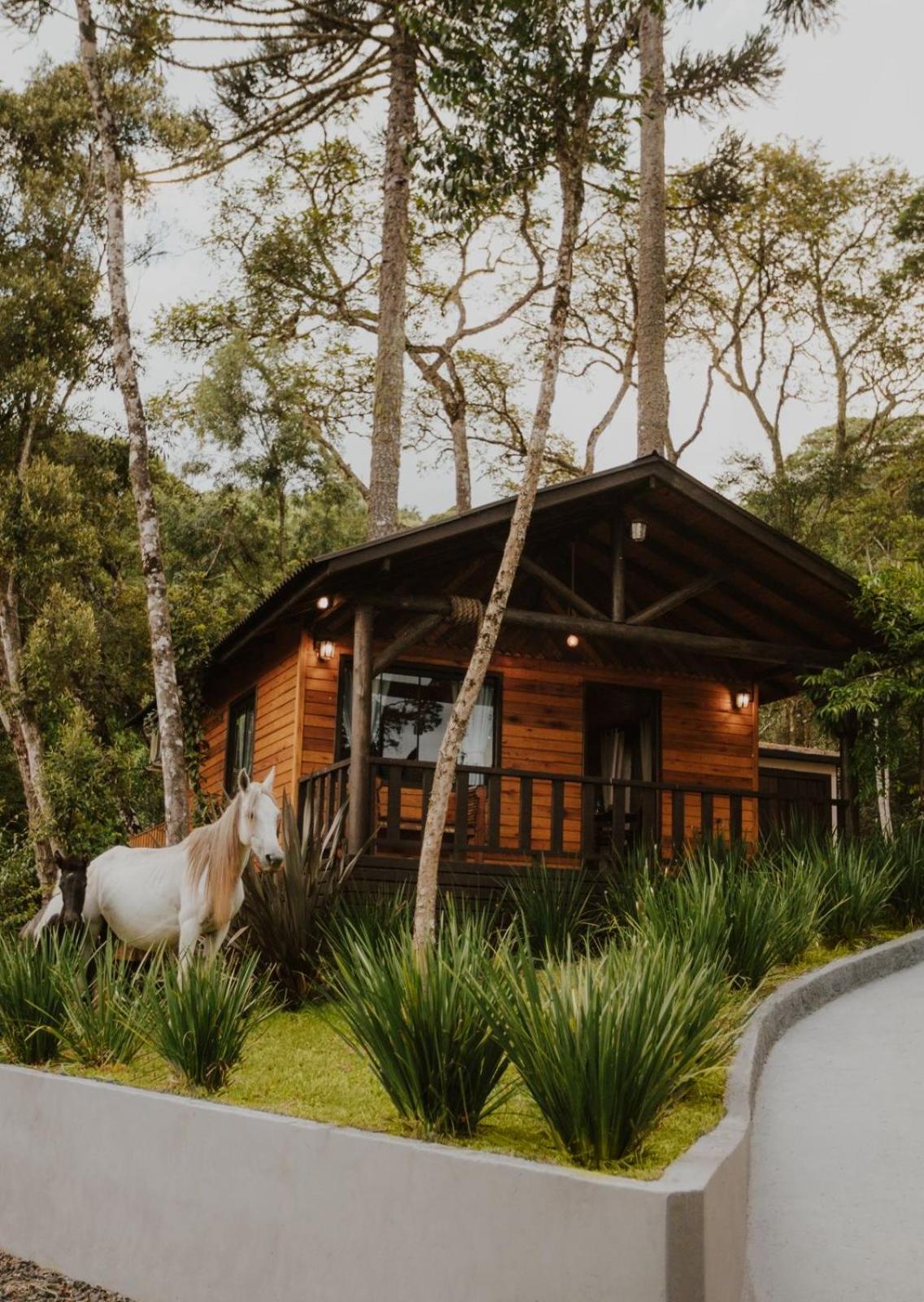 One-Bedroom Chalet photo 2