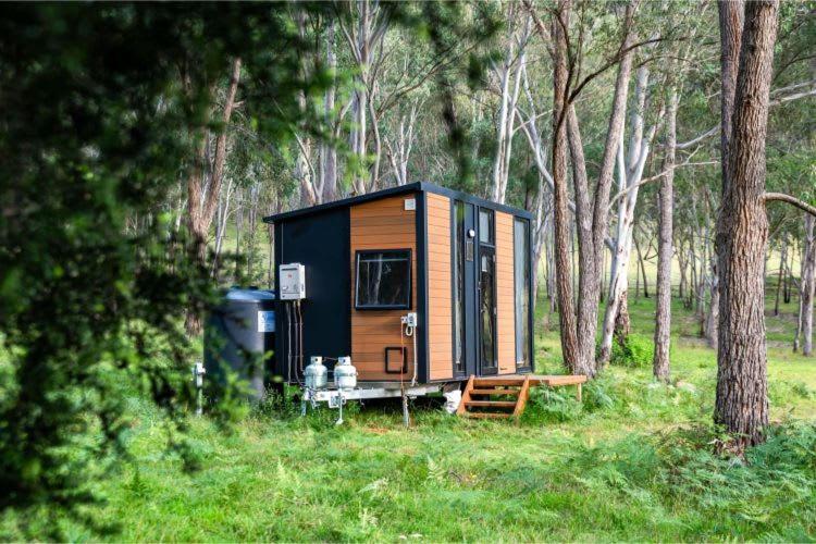 Mobile Home photo 2