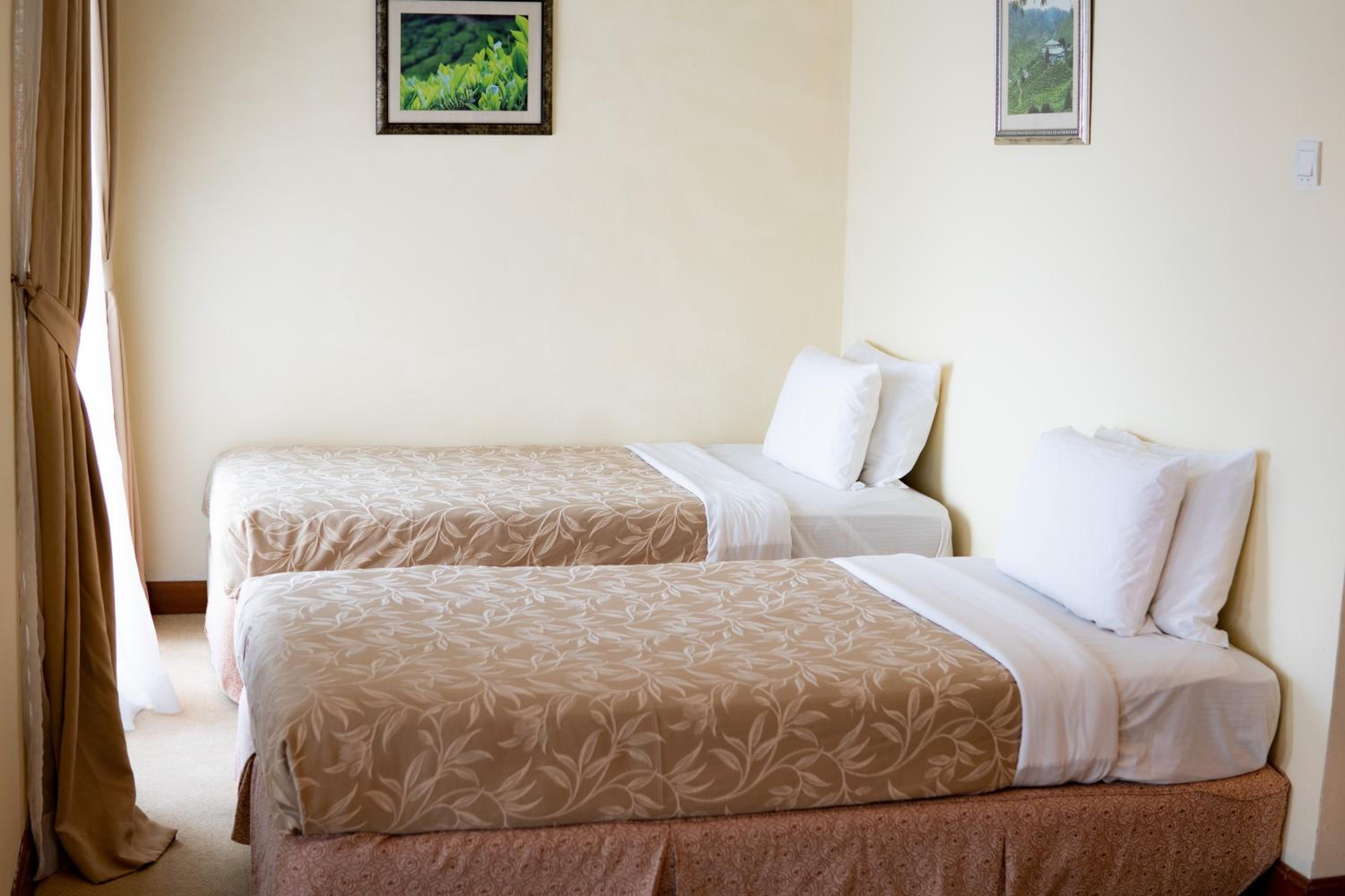 Deluxe Quad Junior Suite - Photo 4