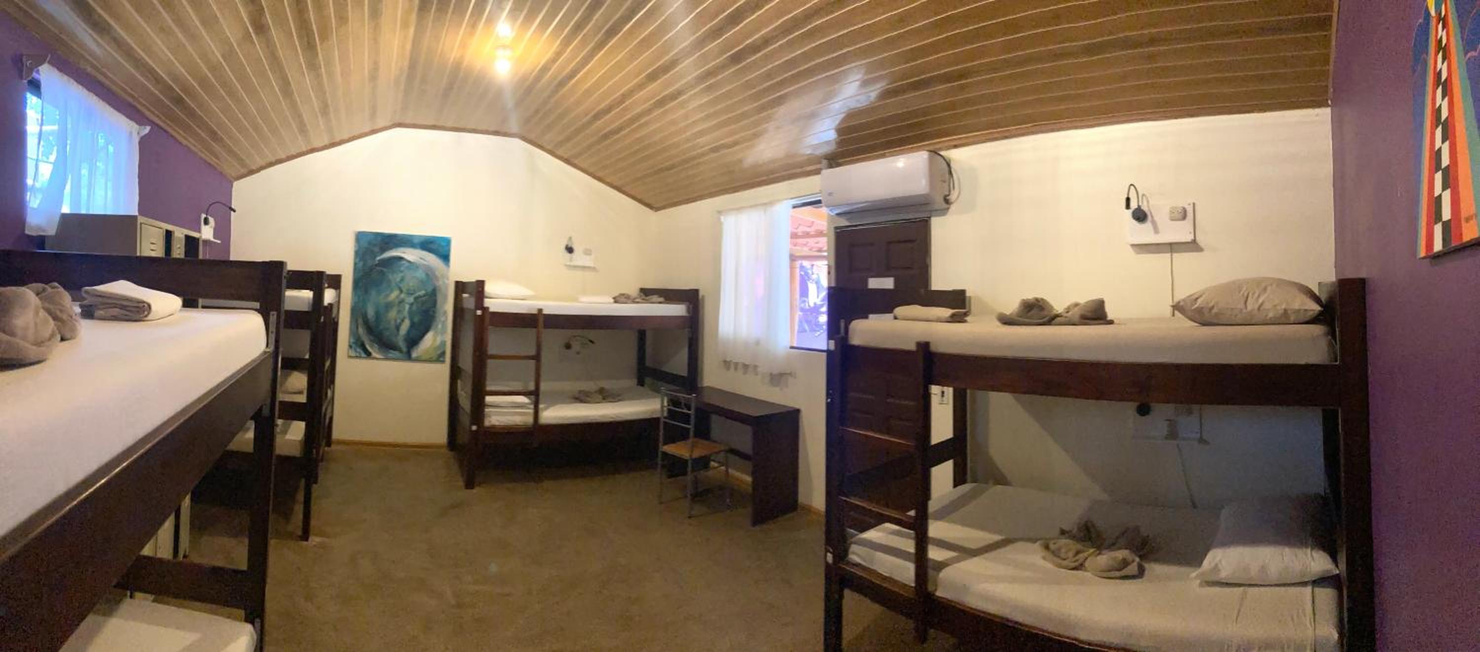 Single Bed in Mixed Dormitory Room
