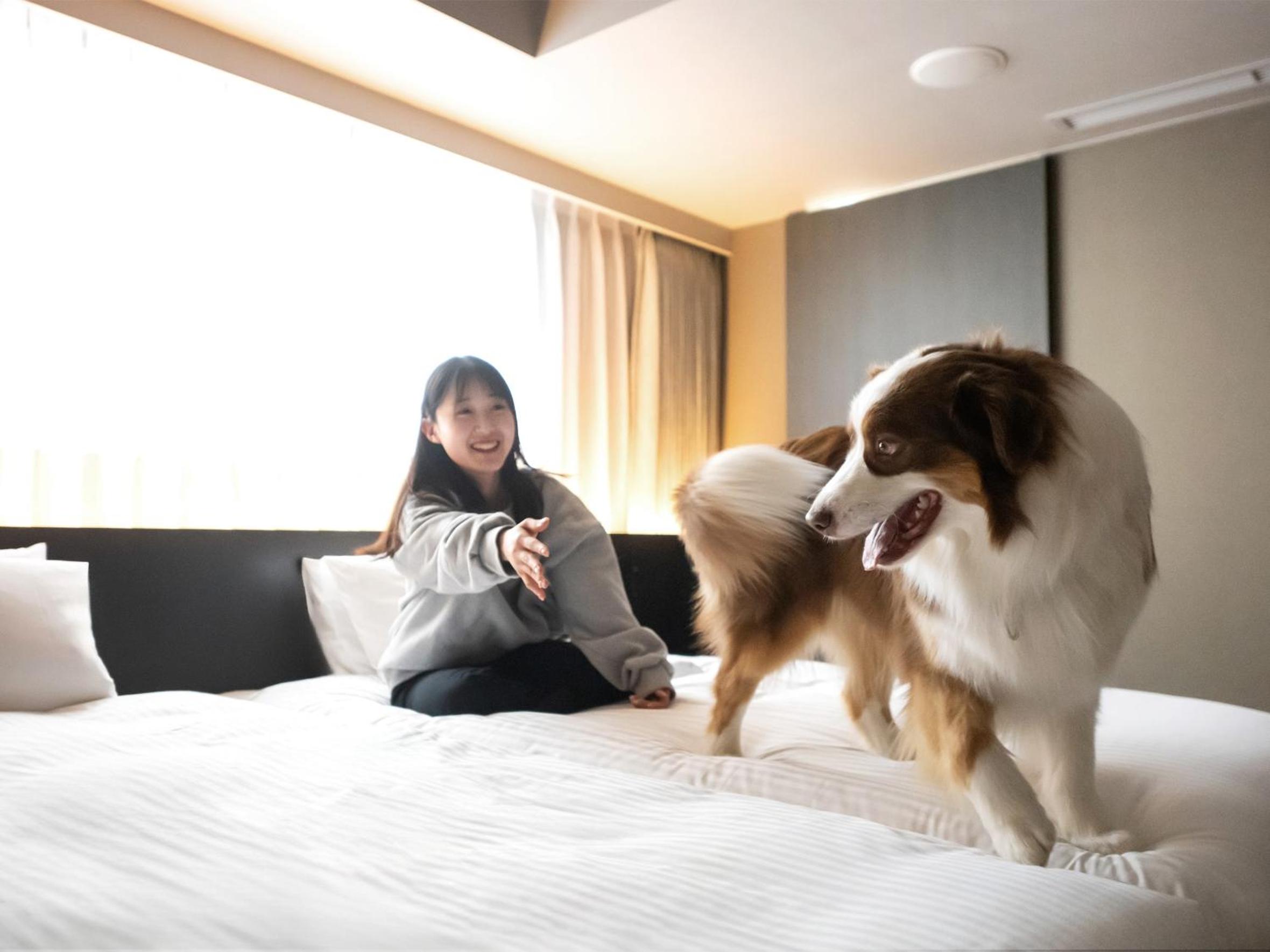 Deluxe Twin Room - Non-Smoking - Dog Friendly photo 2