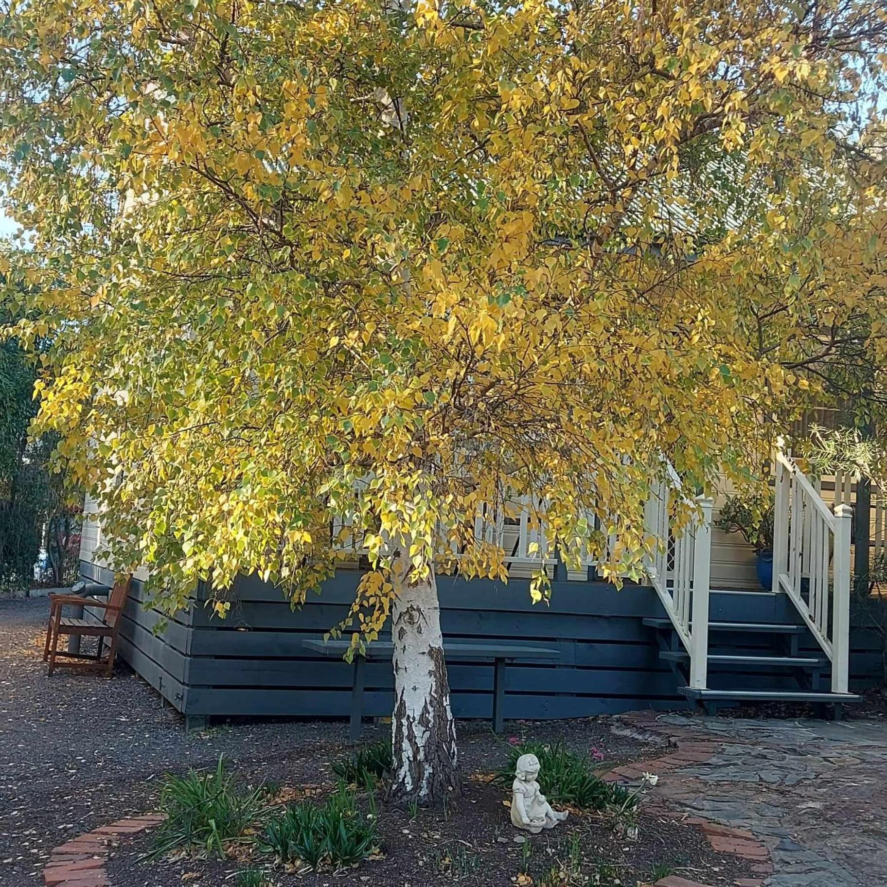 Two-Bedroom Cottage photo 2