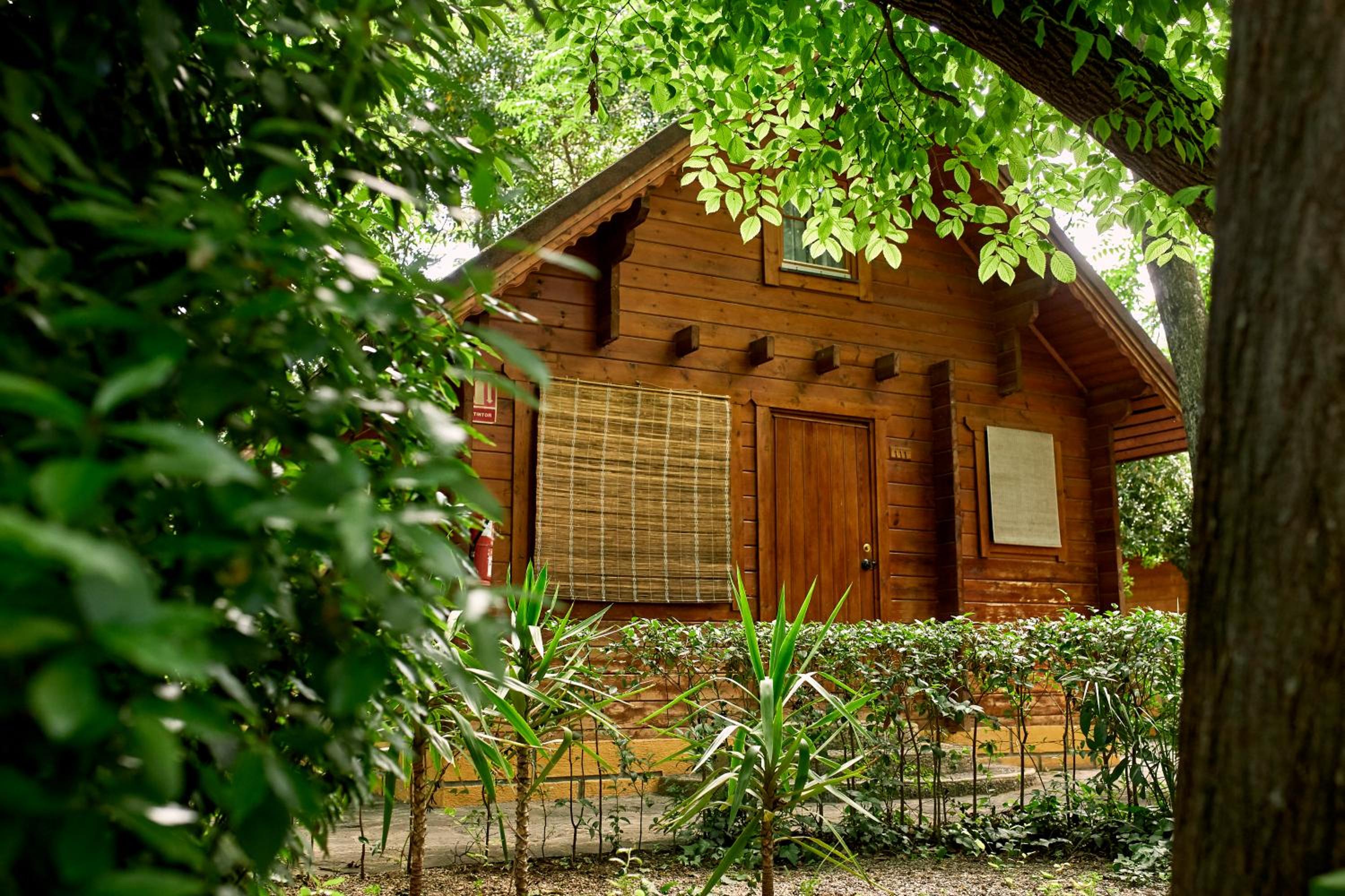 Bungalow (2 adultos) Bungalow (2 adultos)