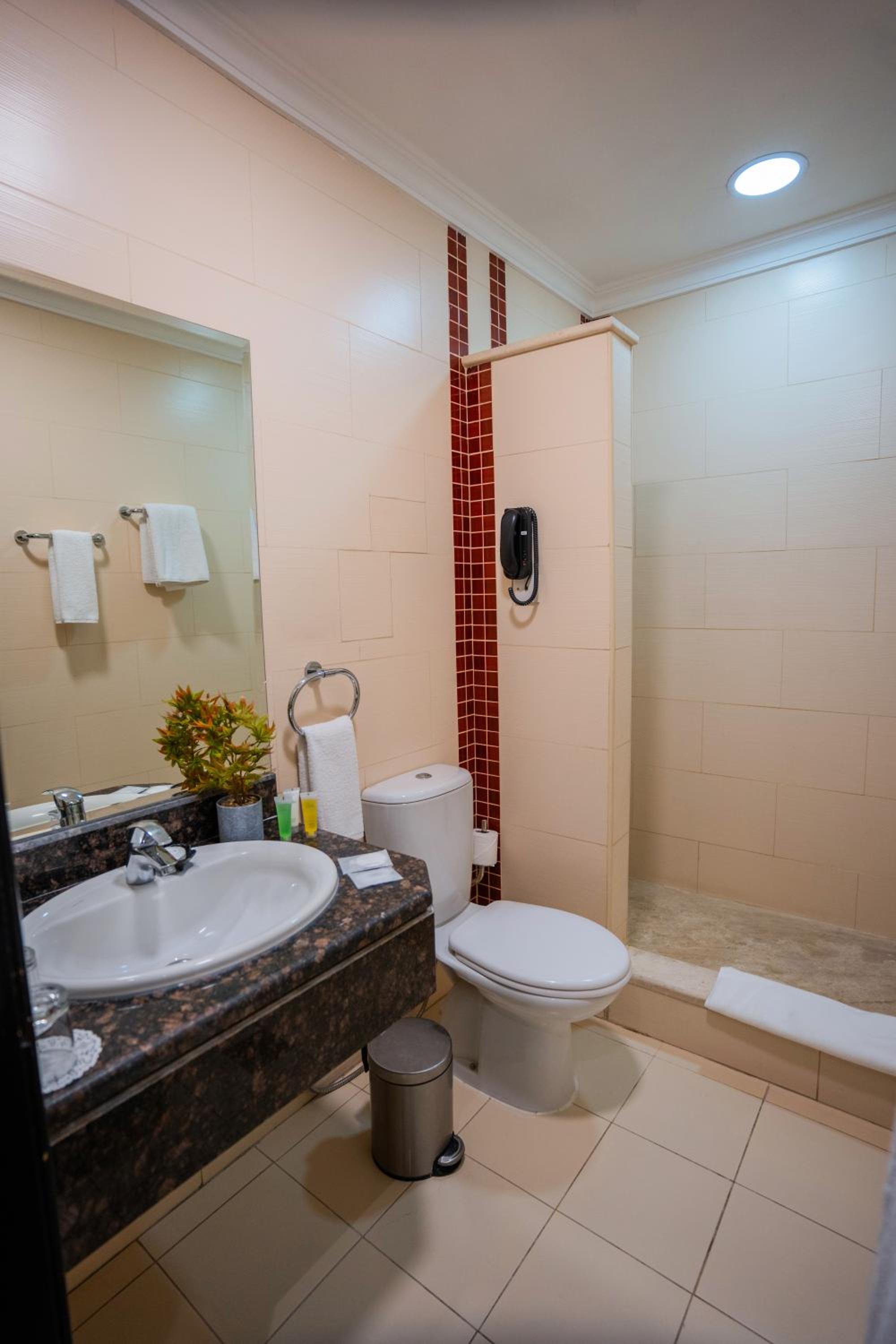 Premium King Room photo 2