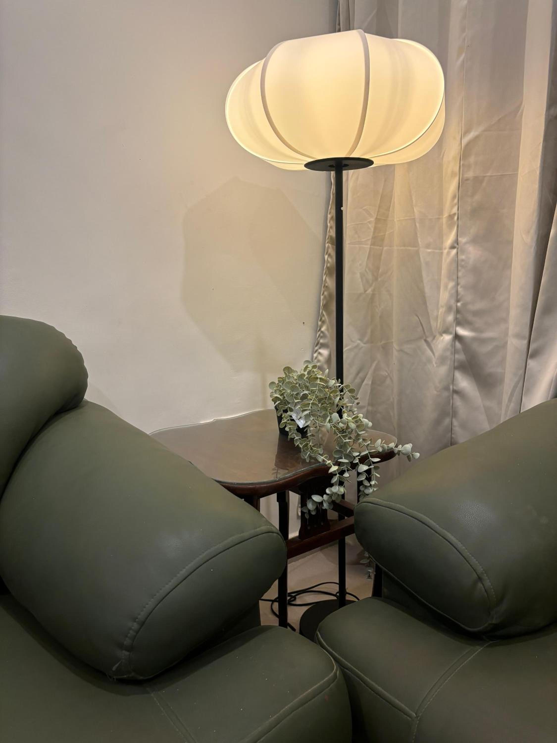 Superior Villa photo 3