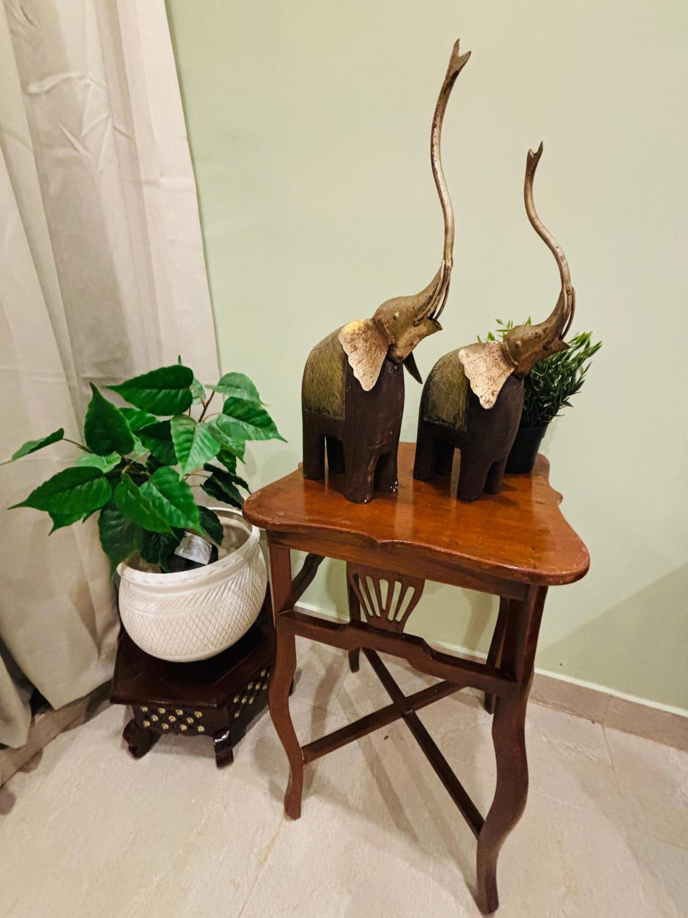 Superior Villa photo 2