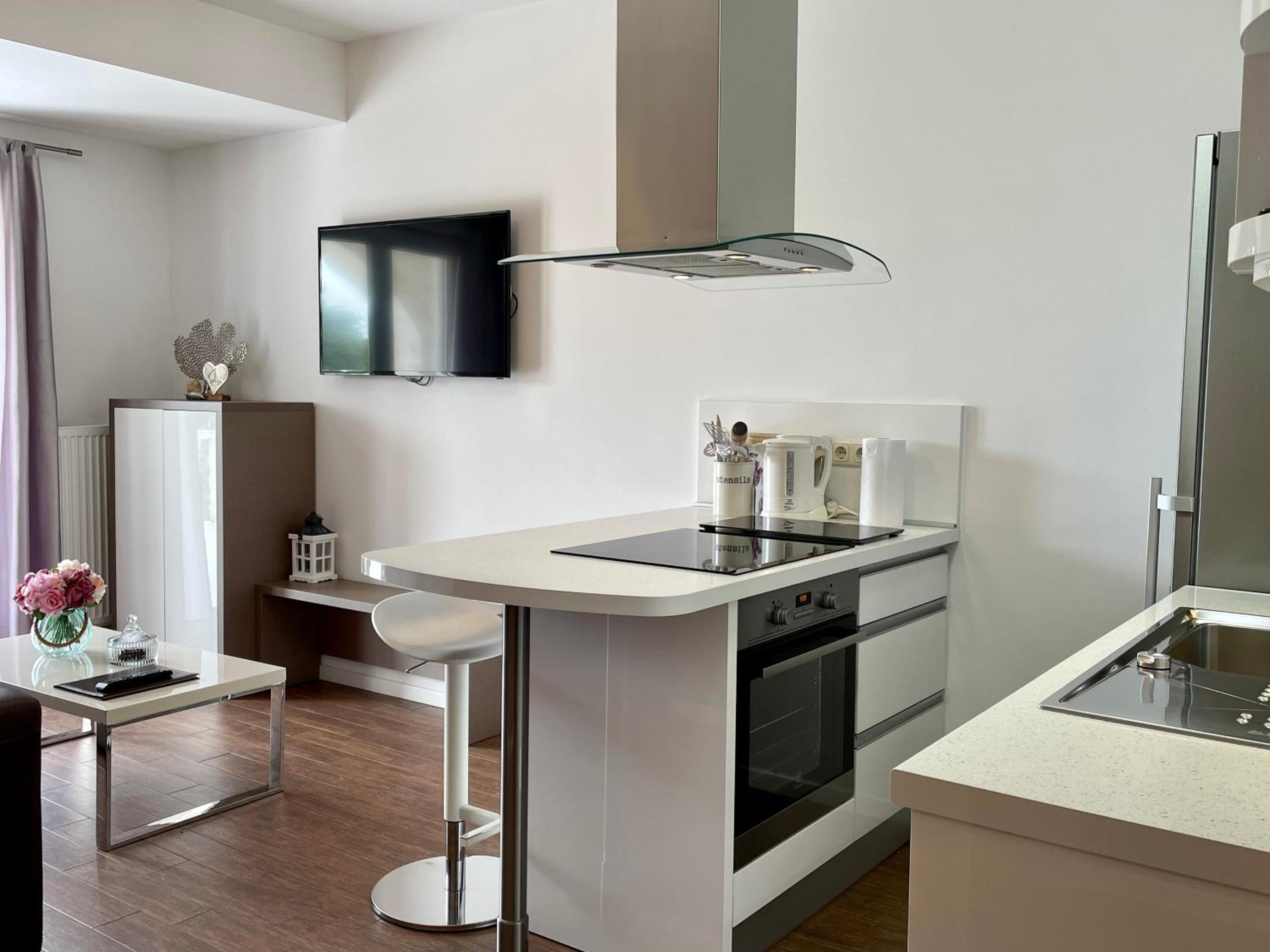 One-Bedroom Apartment 01 photo 2