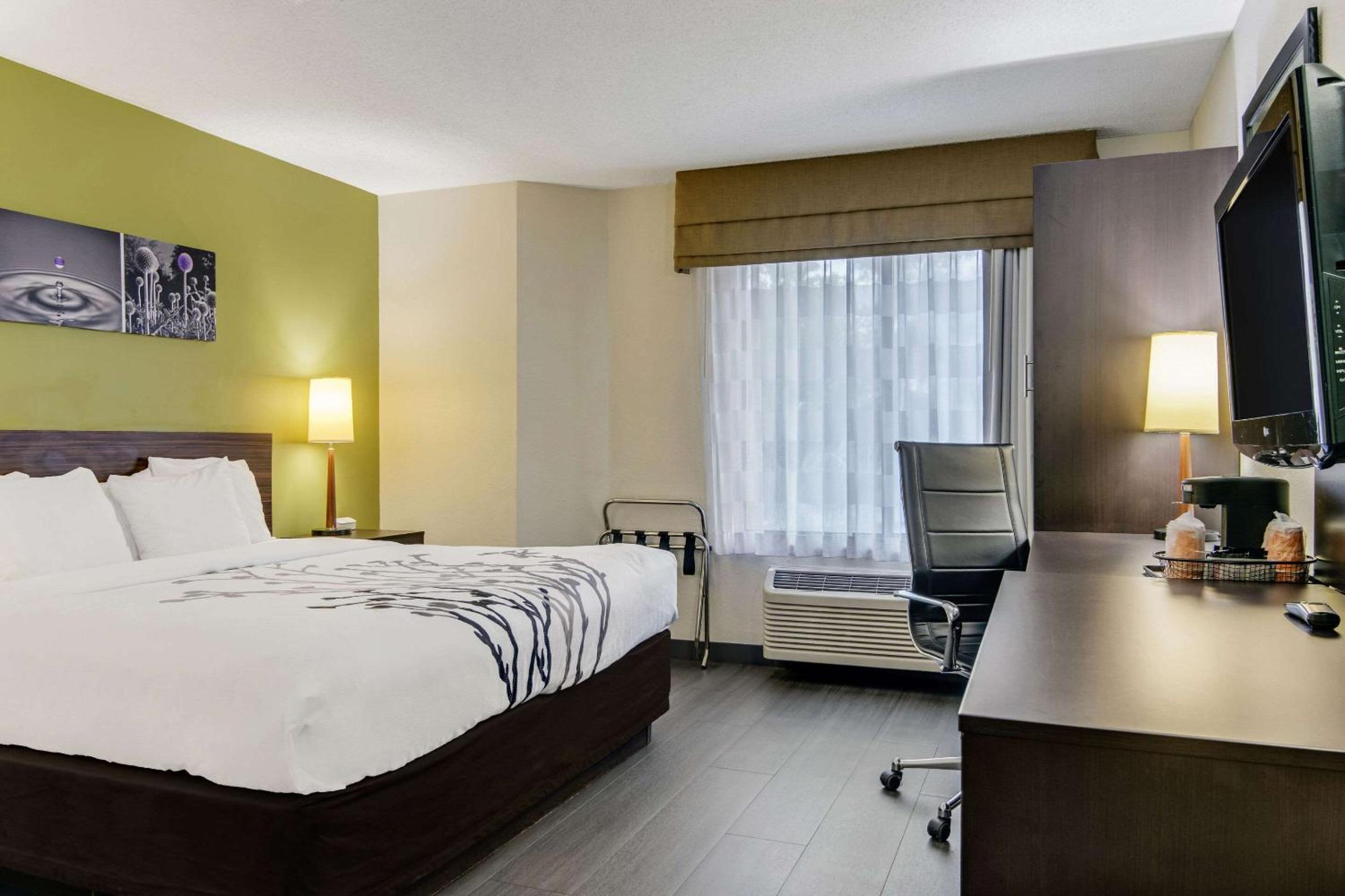 King Room - Non-Smoking - Photo 1