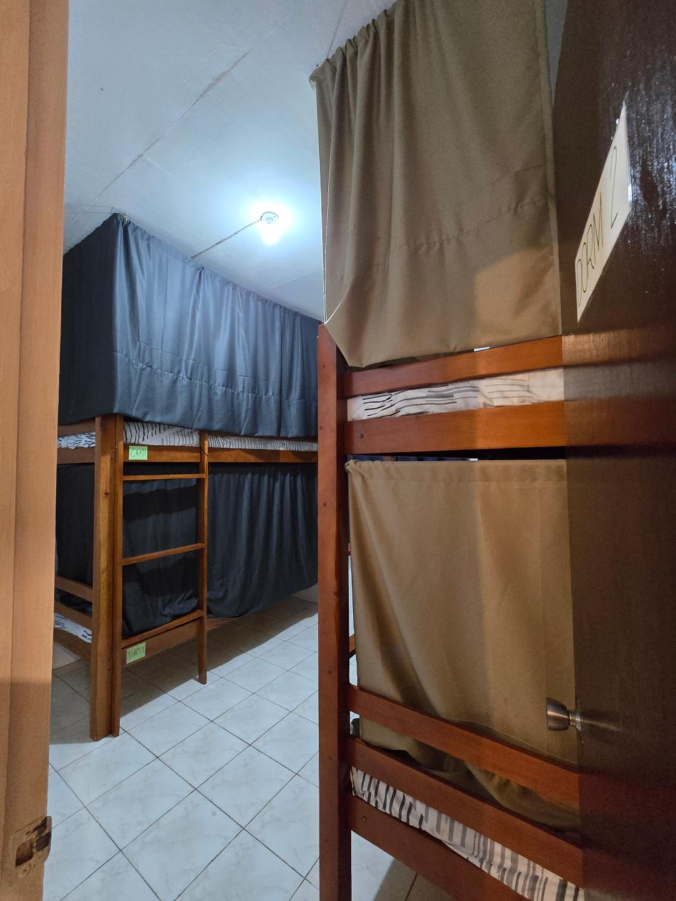 Bunk Bed in Mixed Dormitory Room photo 1