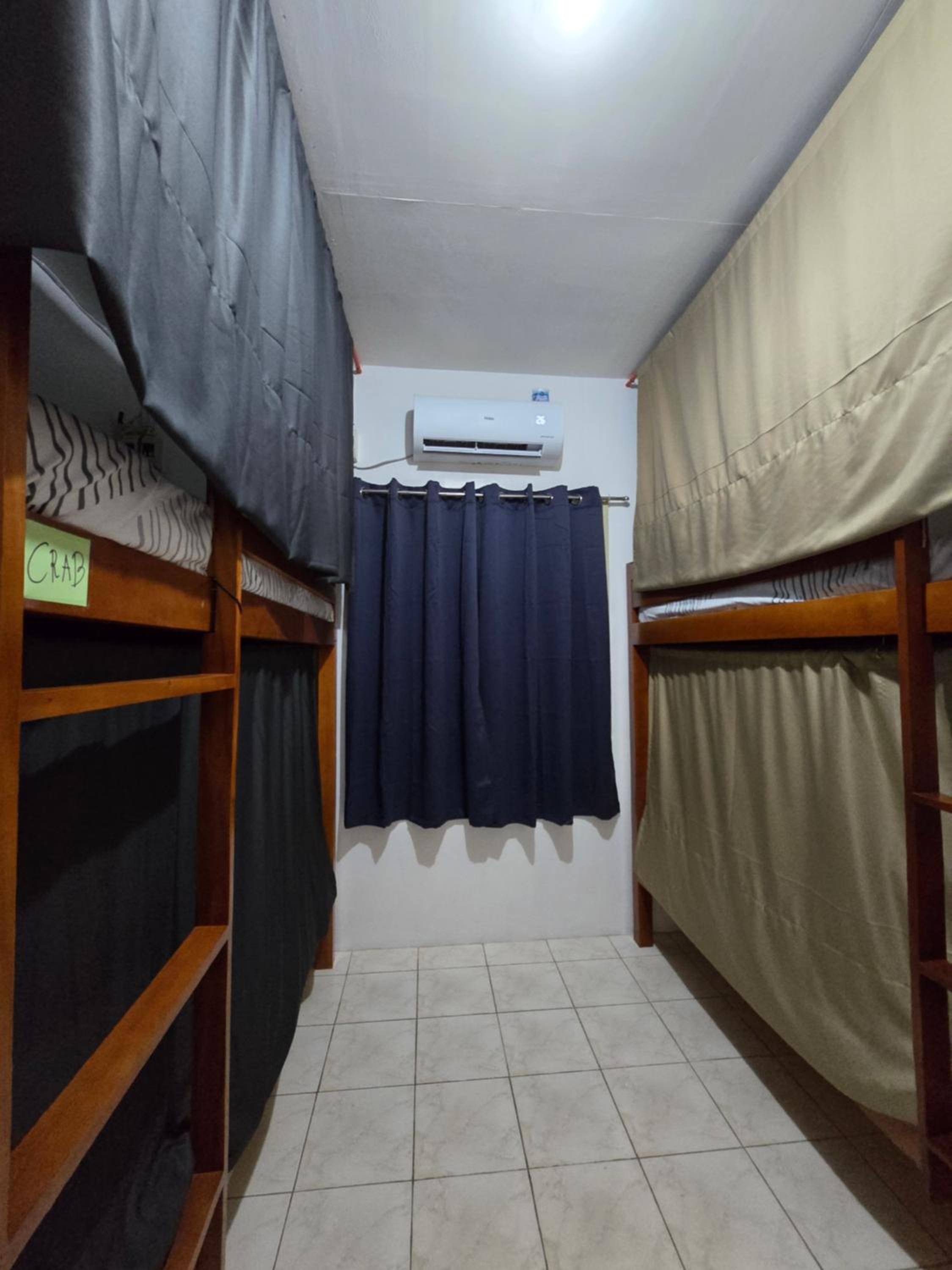 Bunk Bed in Mixed Dormitory Room photo 2