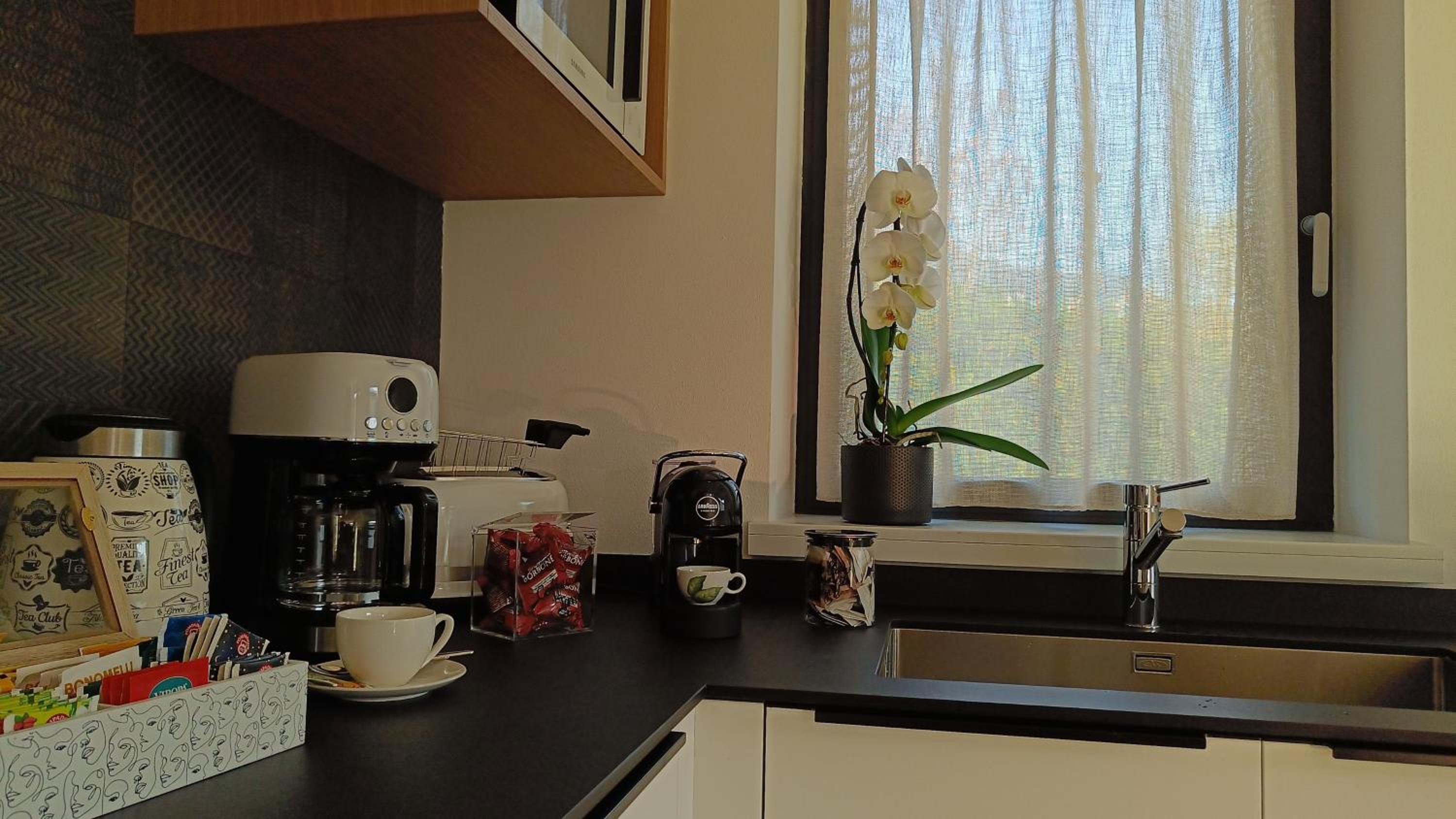 Deluxe One-Bedroom Apartment with Garden View photo 2