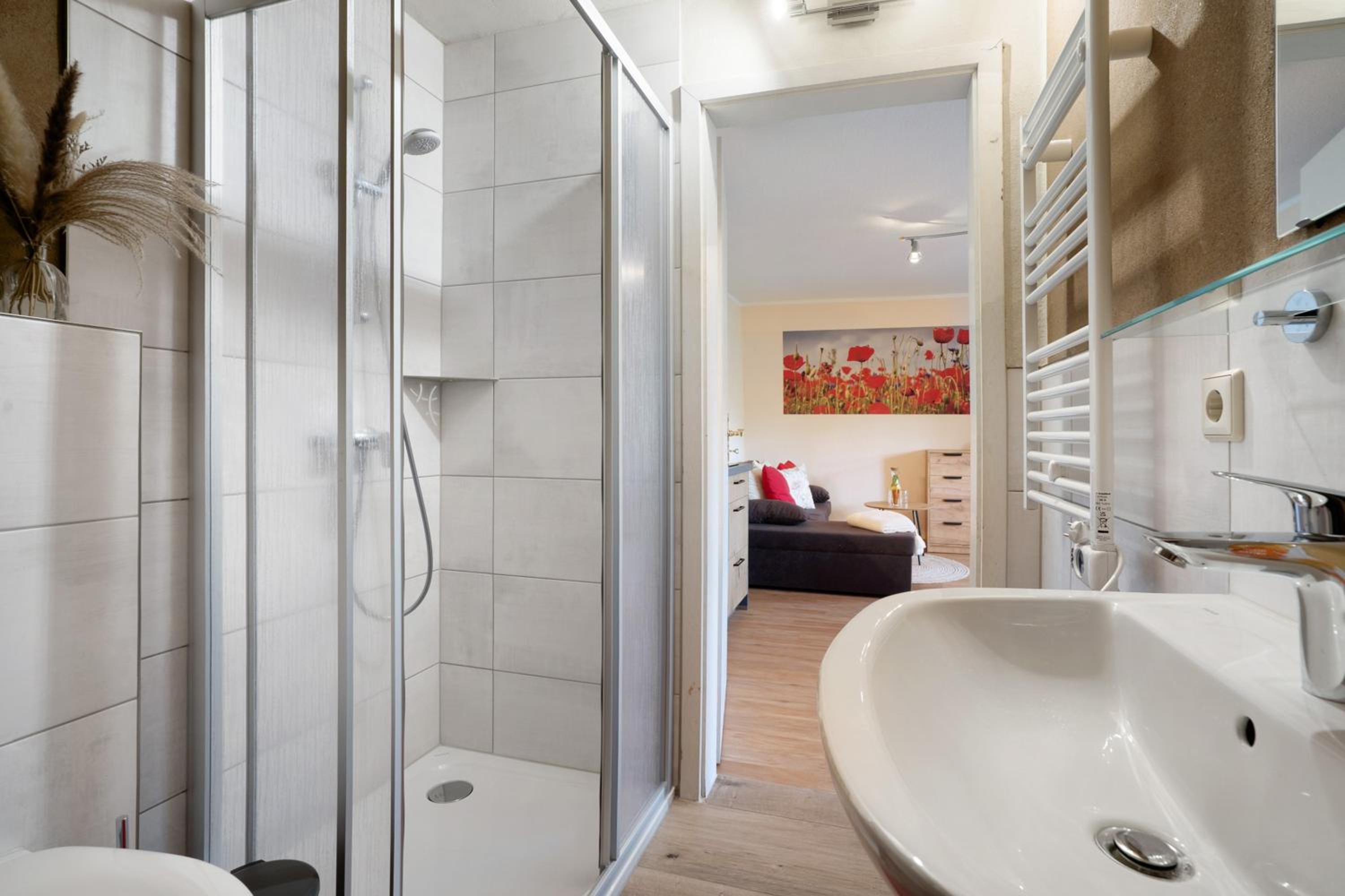 Superior One-Bedroom Apartment with Balcony photo 3