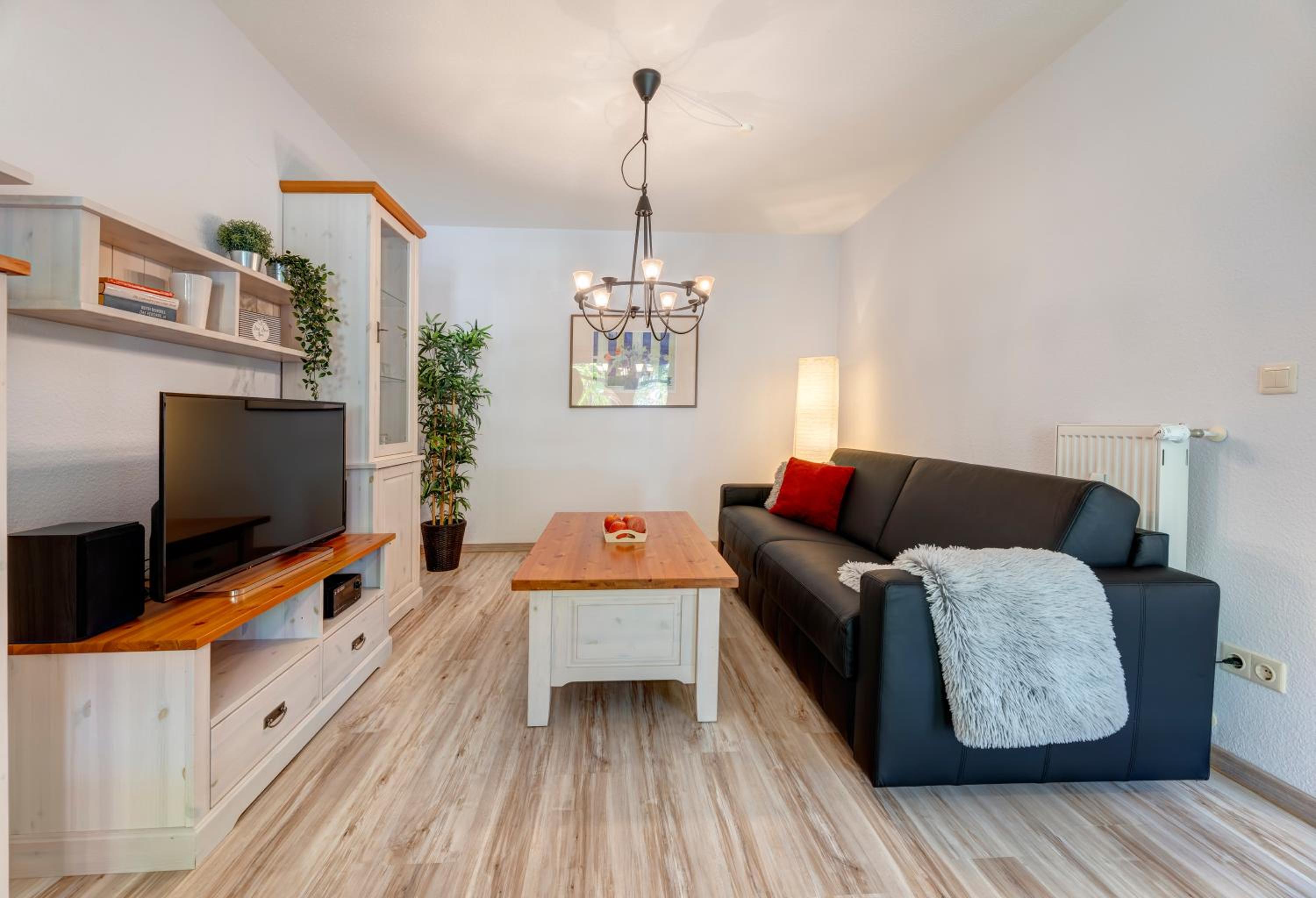 One-Bedroom Apartment photo 3