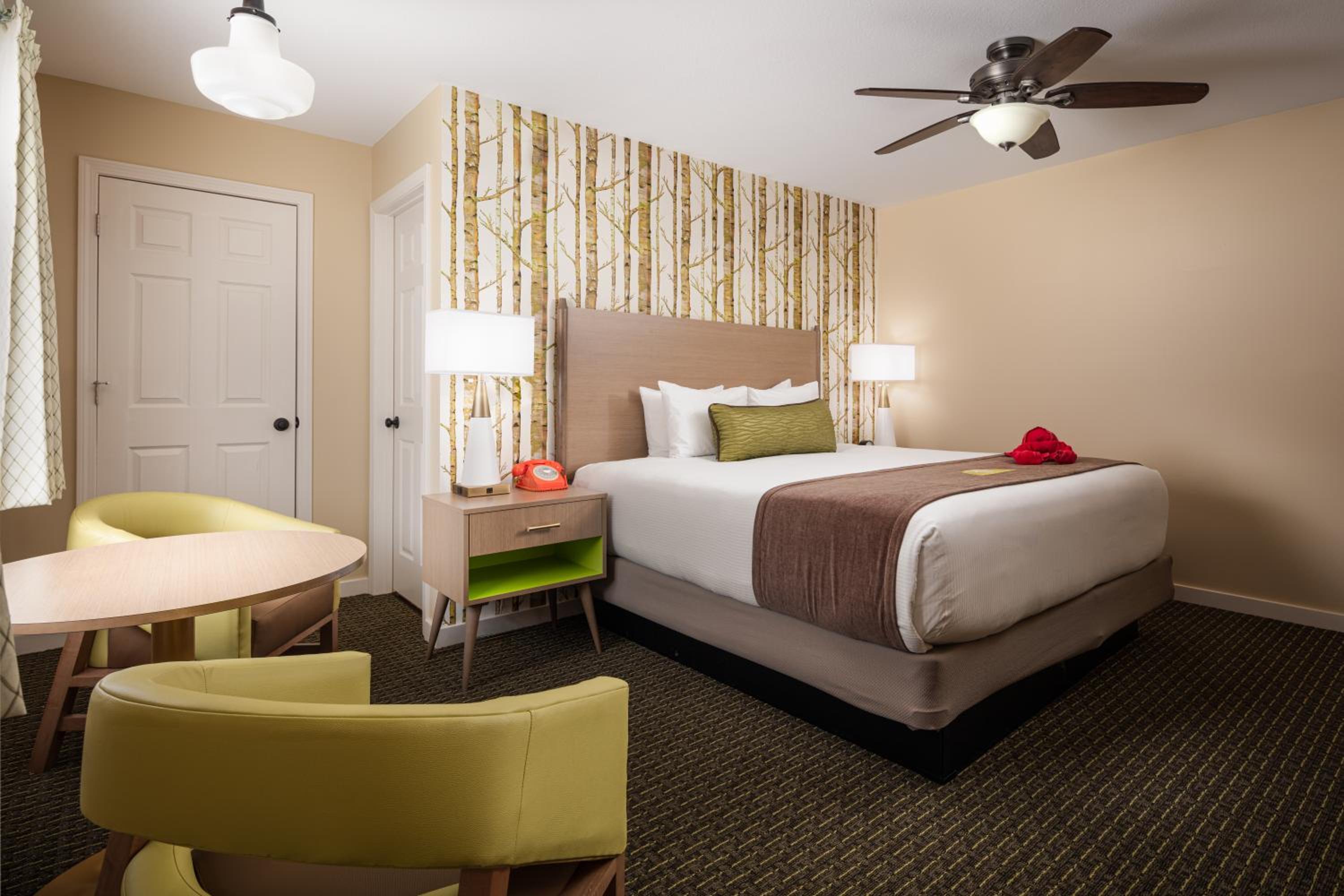 King Room photo 1