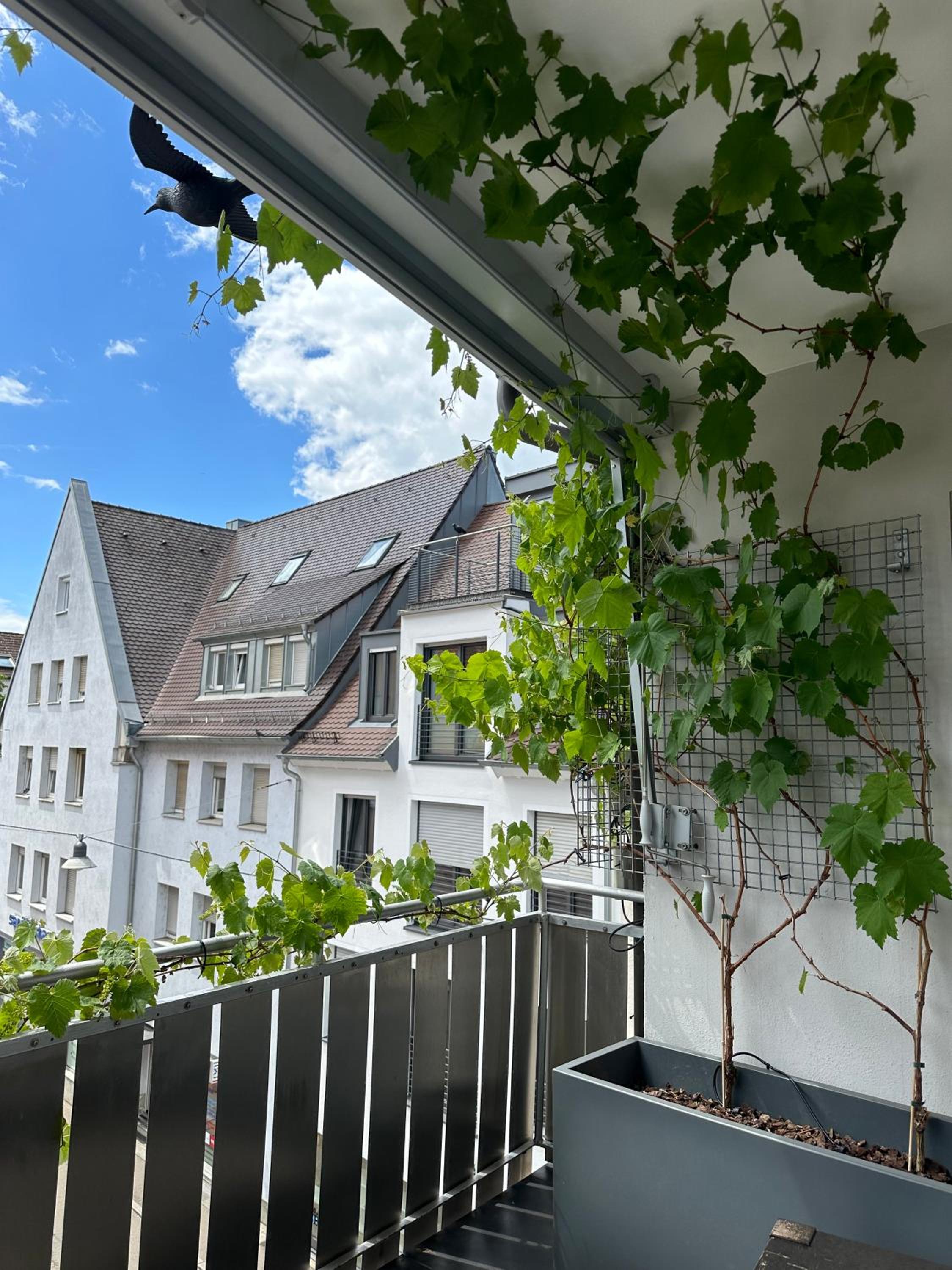 Superior Apartment - Photo 3