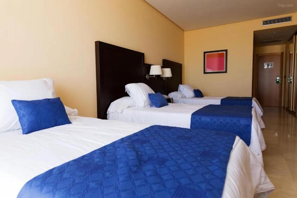 Cama individual en habitación compartida masculina