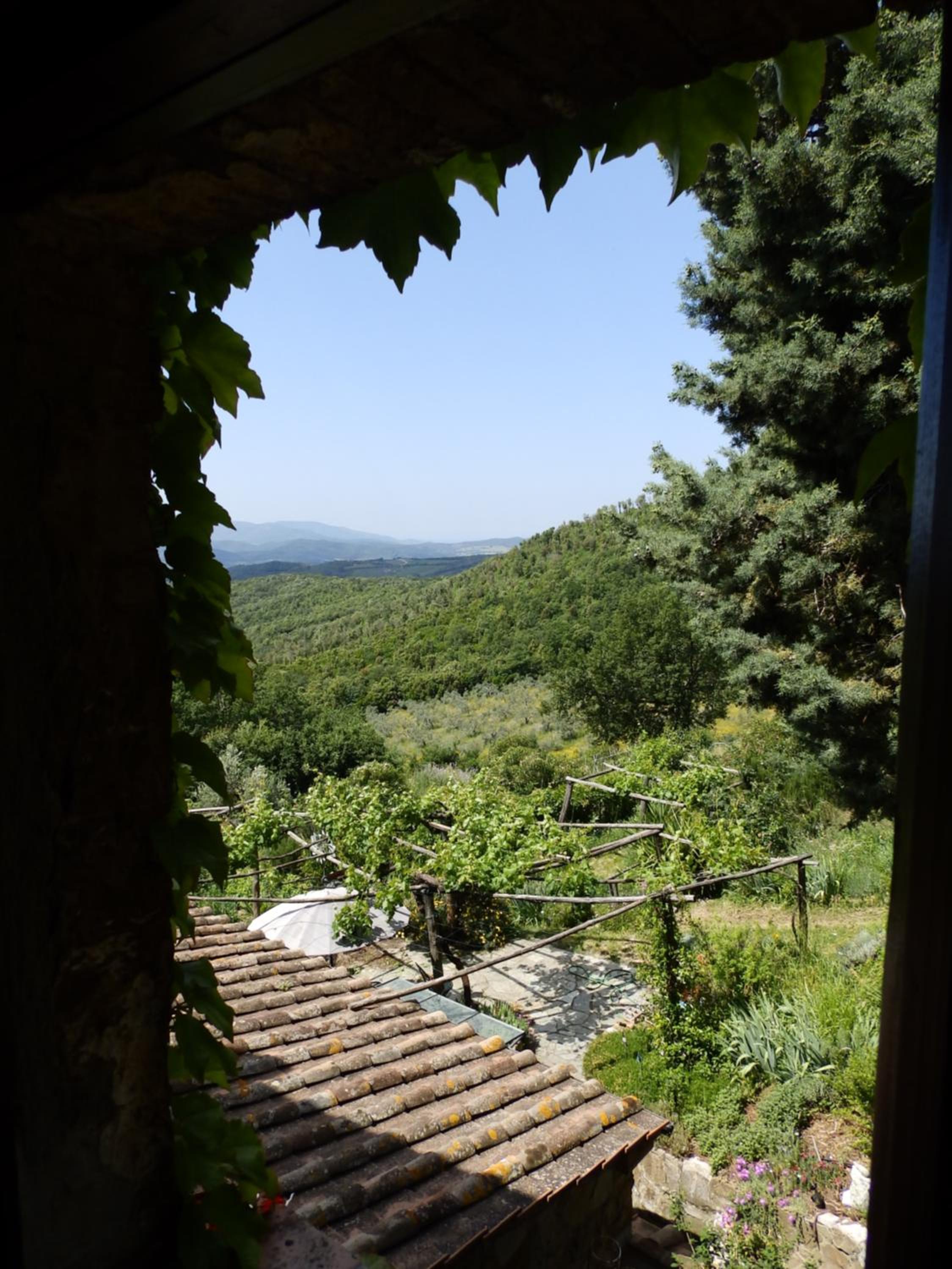 Double Room with Mountain View photo 3
