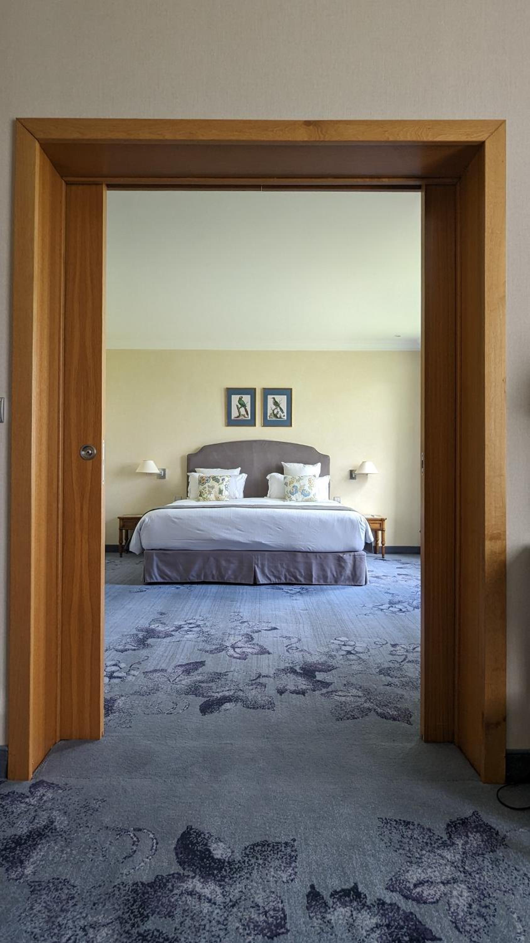 Suite - Photo 1