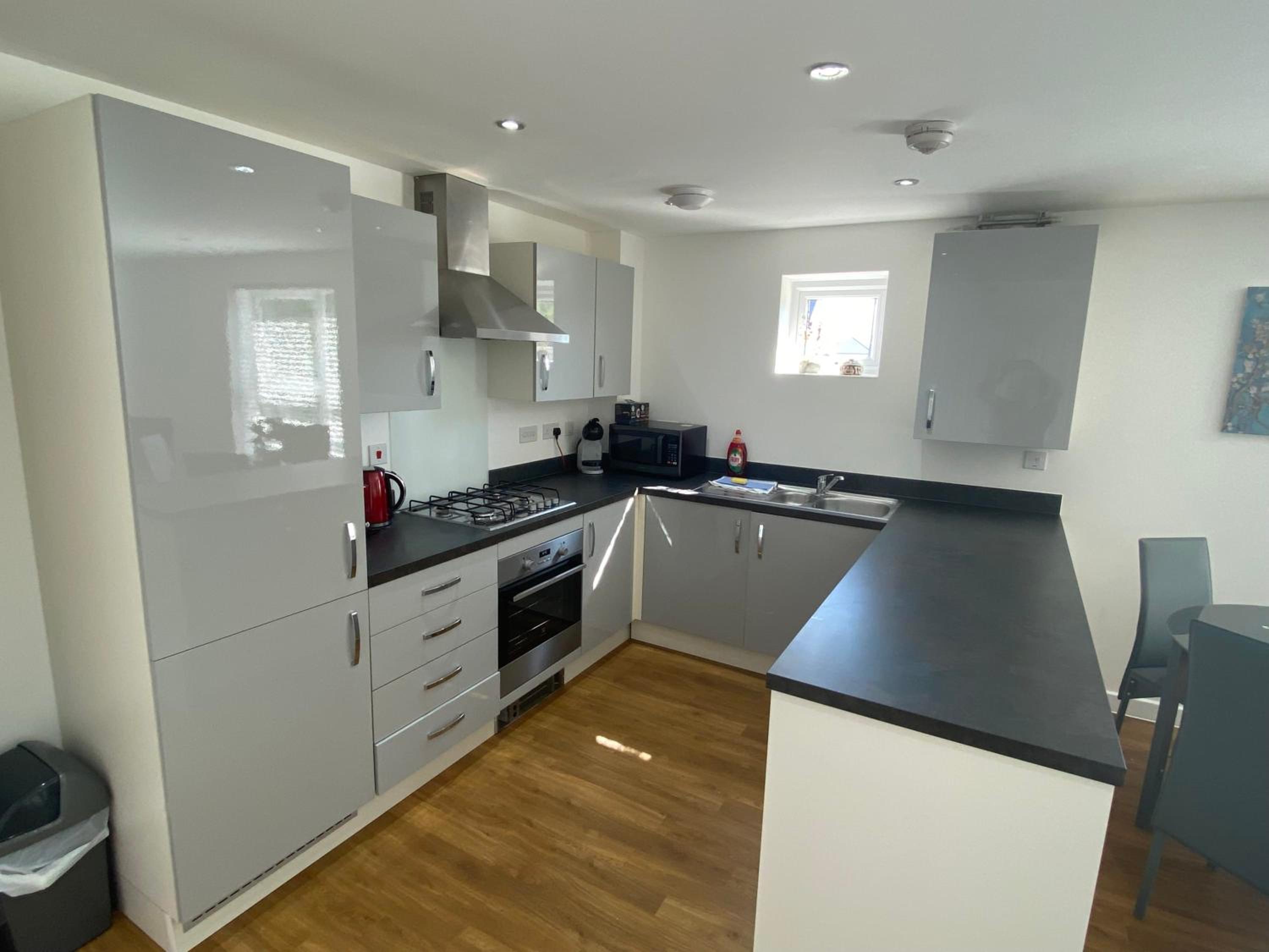 Classic One-Bedroom Apartment With King Bed photo 3