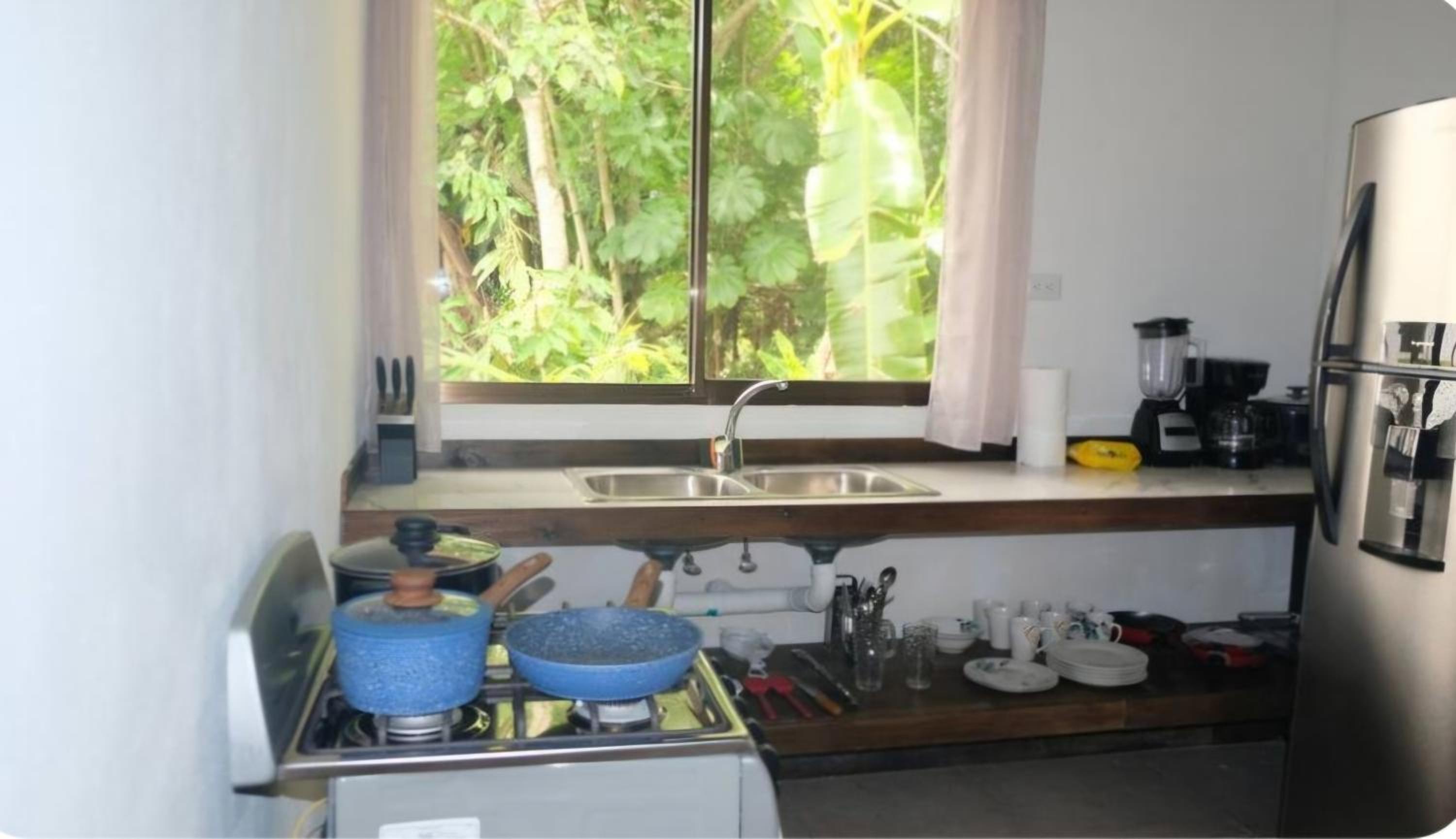 One-Bedroom House photo 3