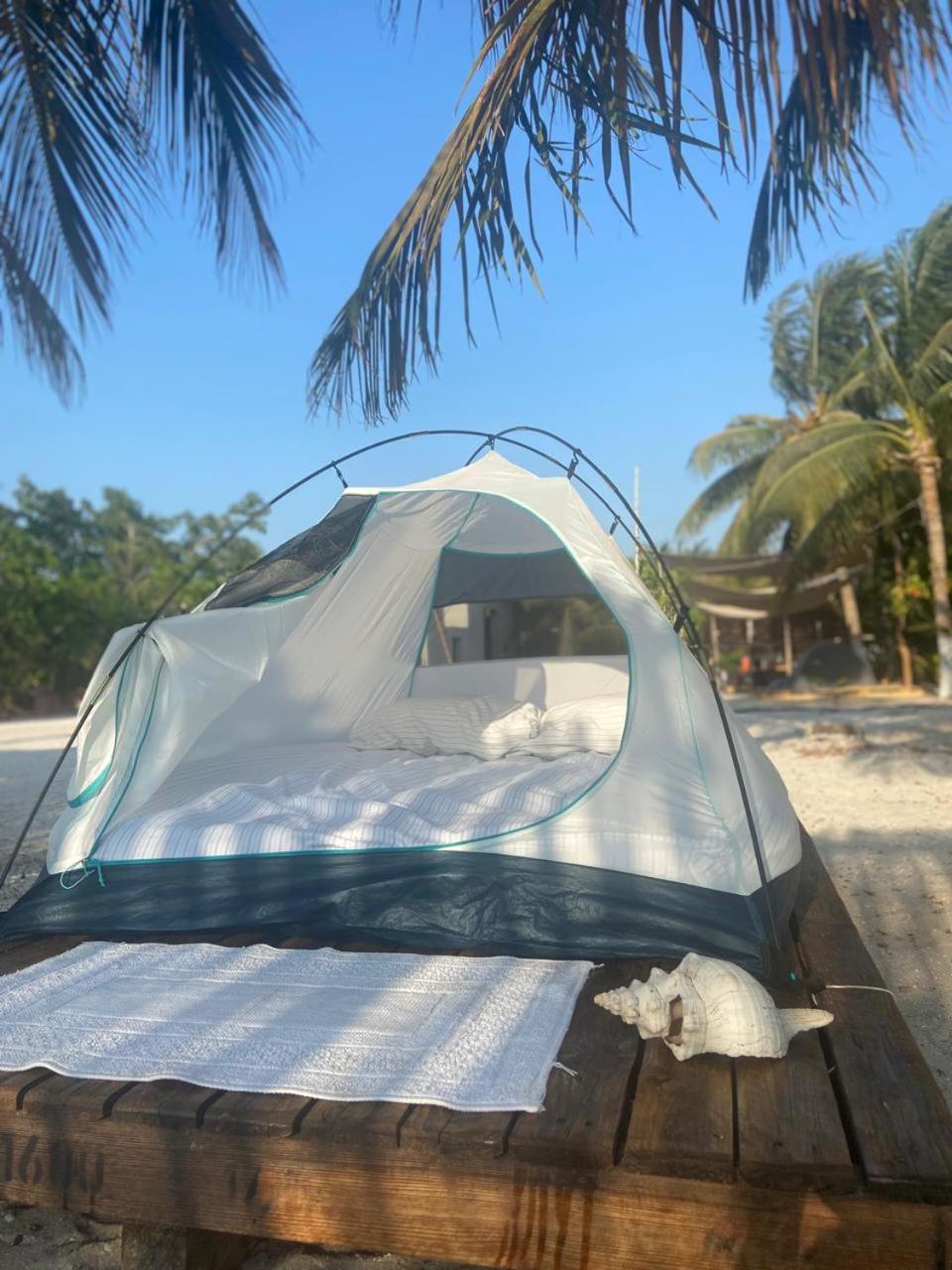 Tent photo 3