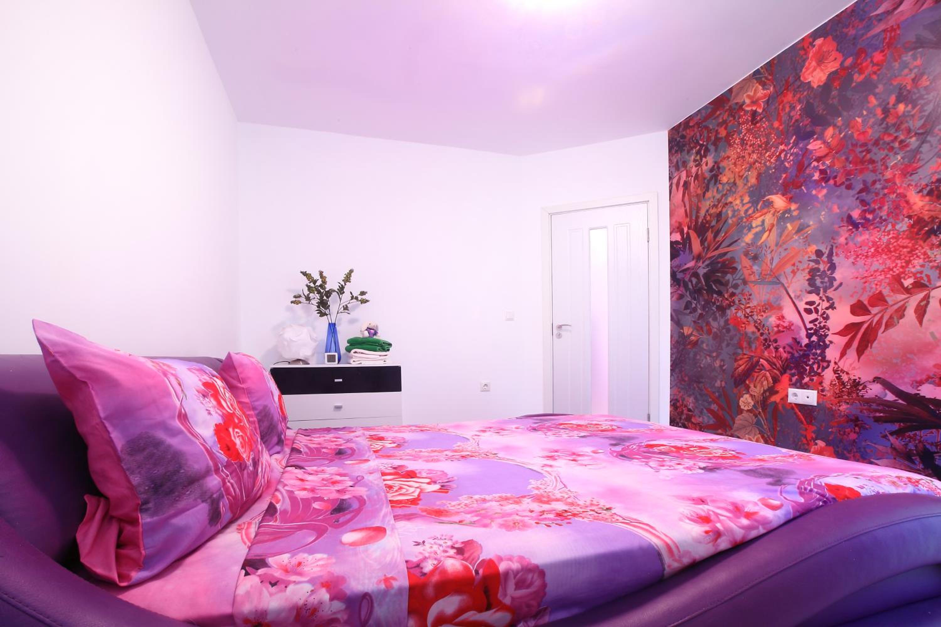 Deluxe One-Bedroom Apartment photo 3